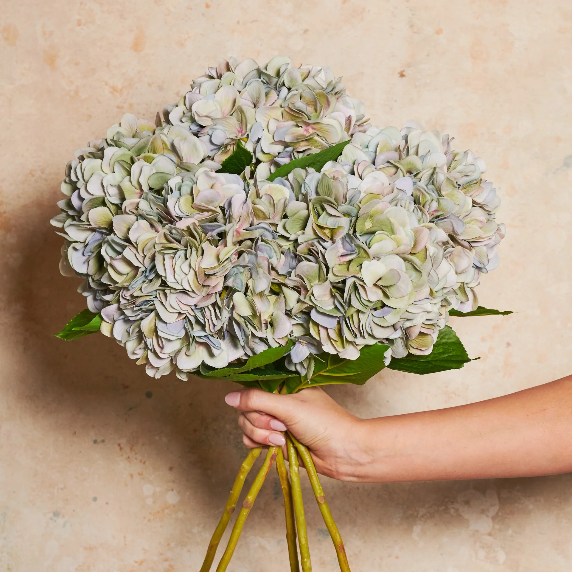 Hydrangea Flower Stem - Image 4
