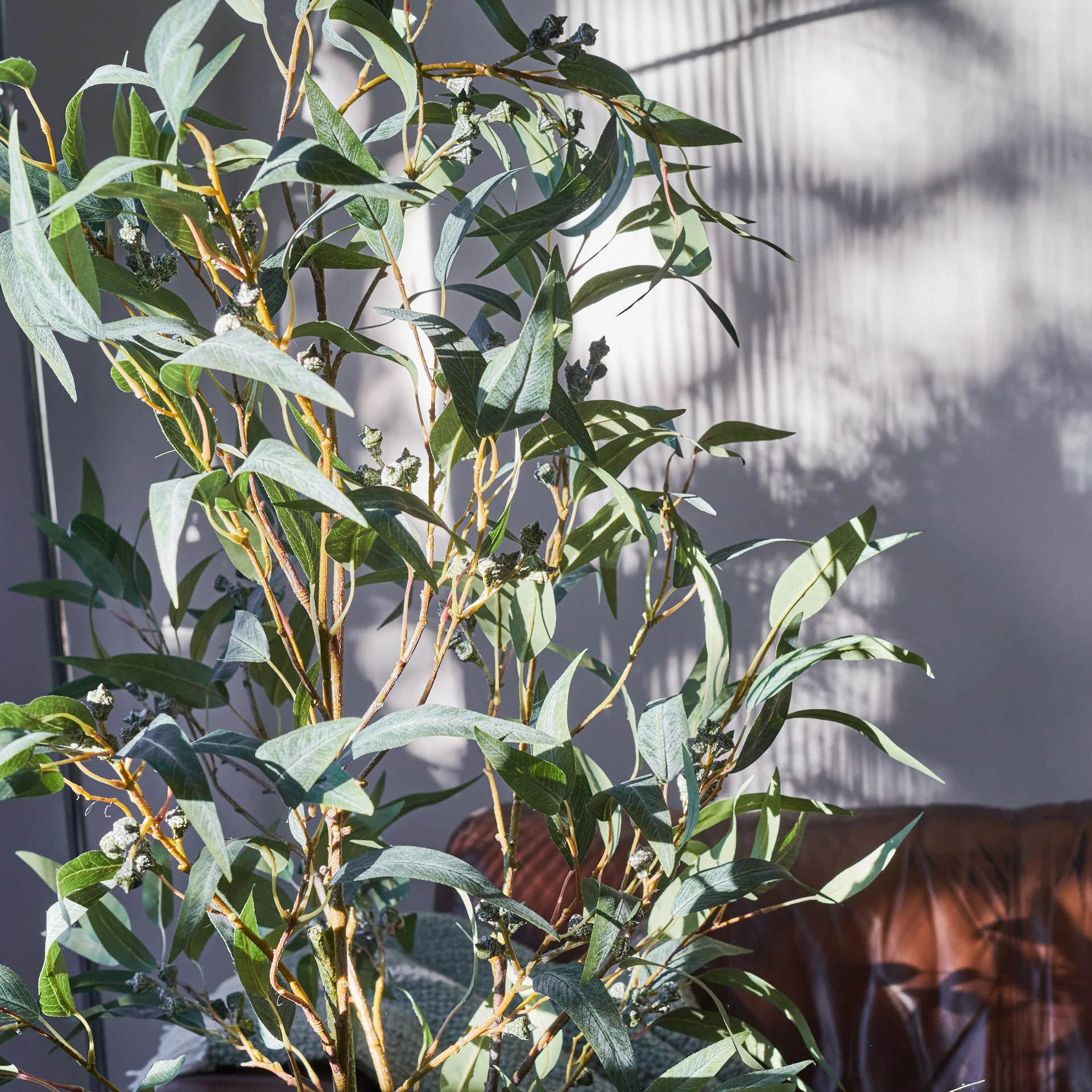 Irwin Eucalyptus Tree with Ceramic Pot - Image 4