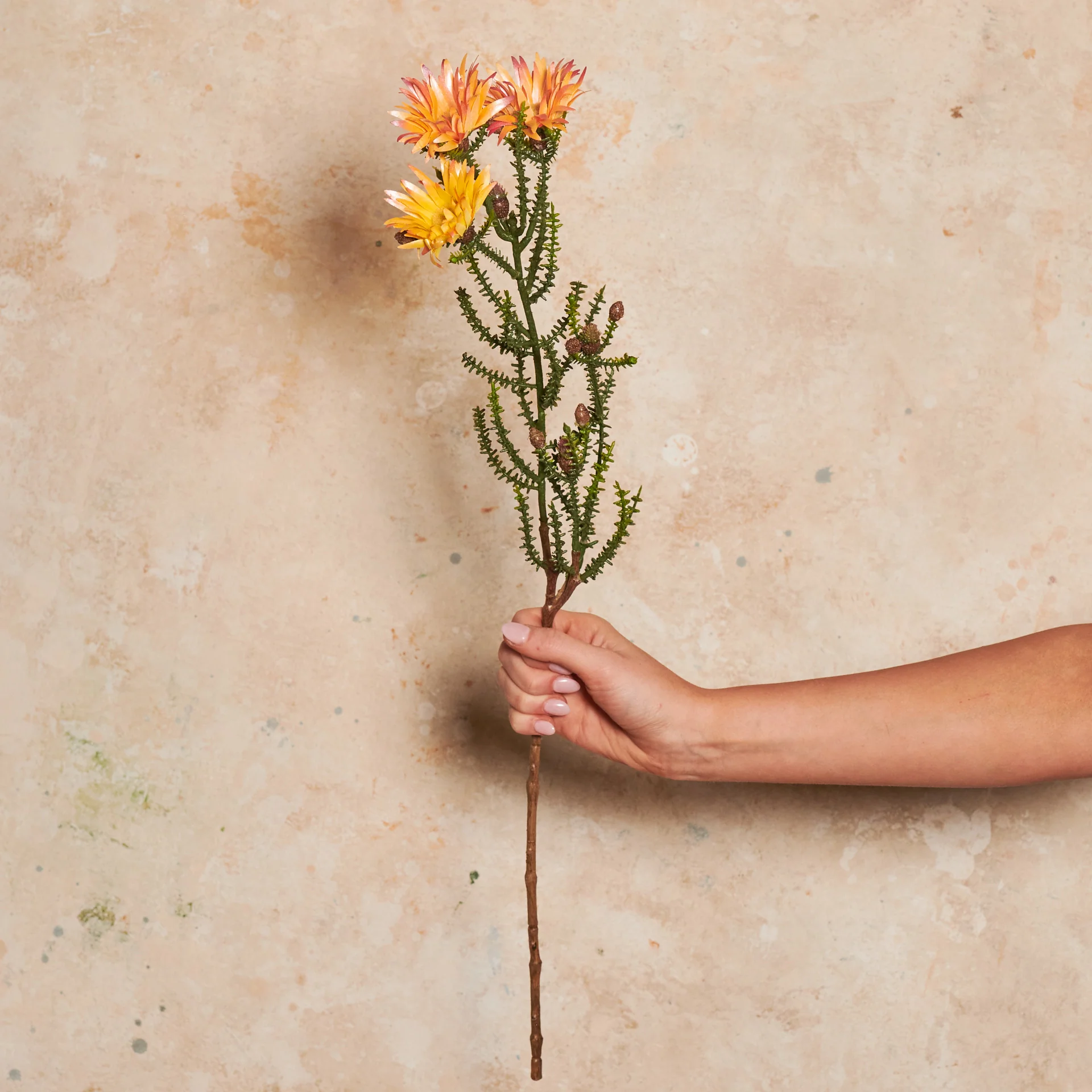 Kaaps Real Touch Flower Stem - Image 3