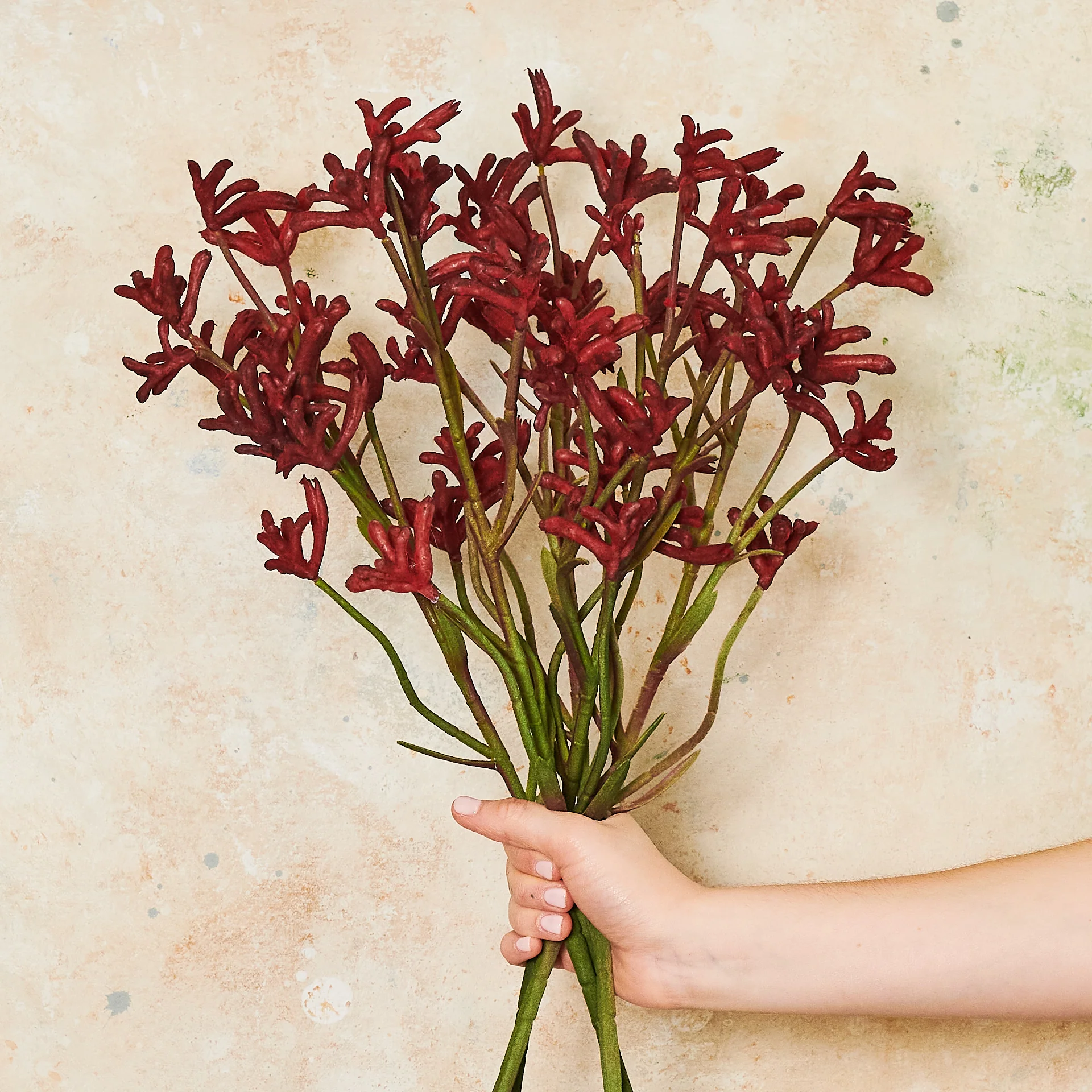 Kangaroo Paw Real Touch Flower Stem - Image 5