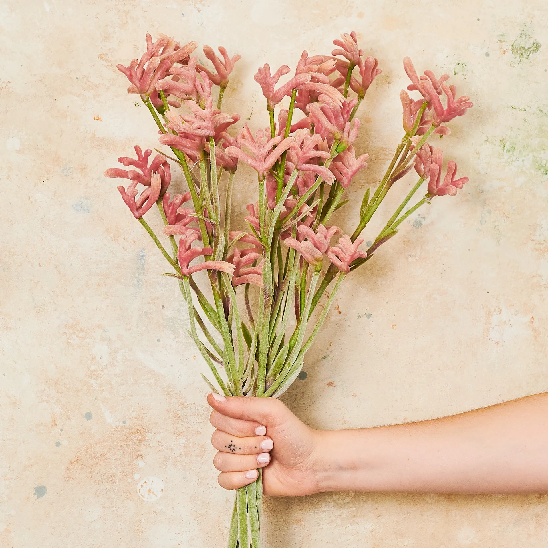 Kangaroo Paw Real Touch Flower Stem - Image 7