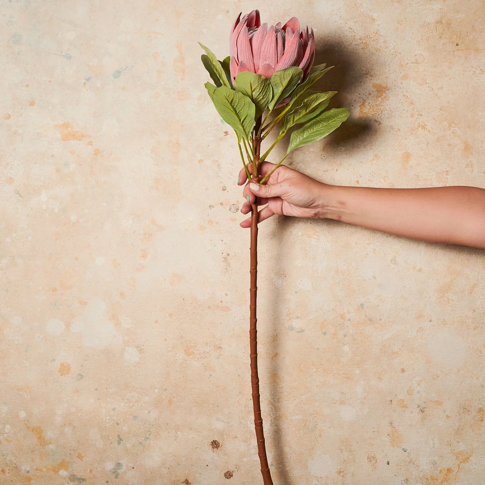 King Protea Real Touch Flower Stem - Image 4