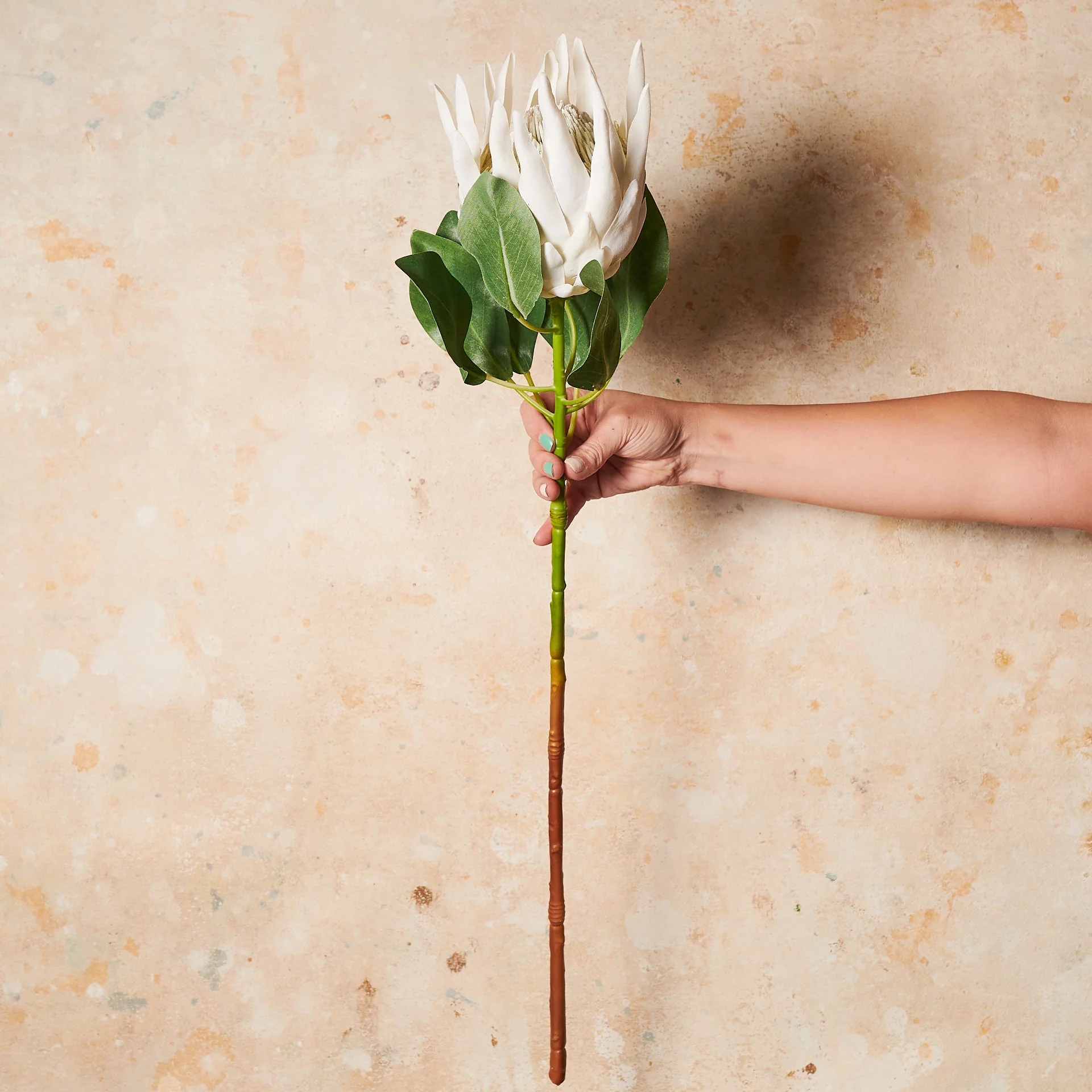 King Protea Real Touch Flower Stem - Image 3