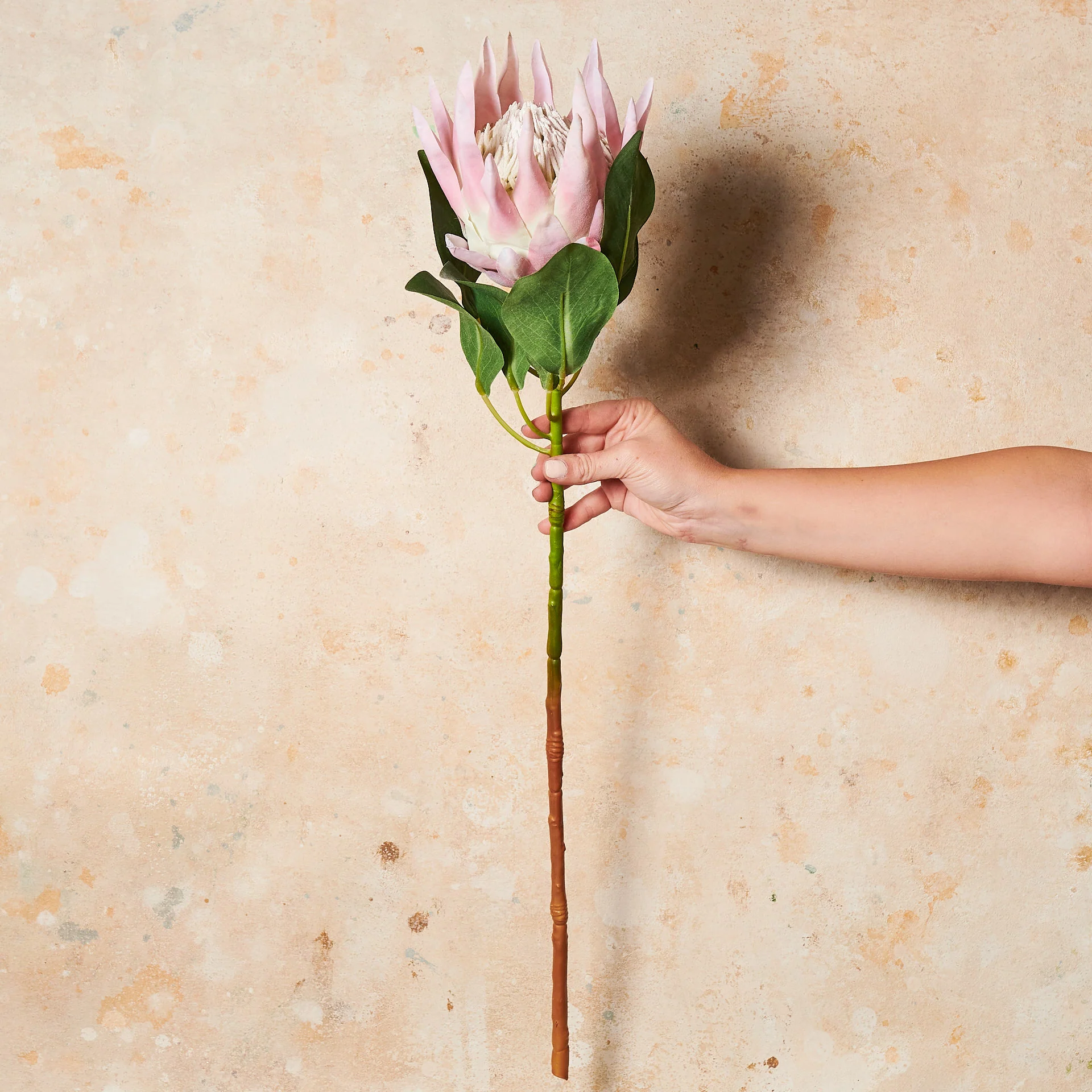 King Protea Real Touch Flower Stem - Image 4