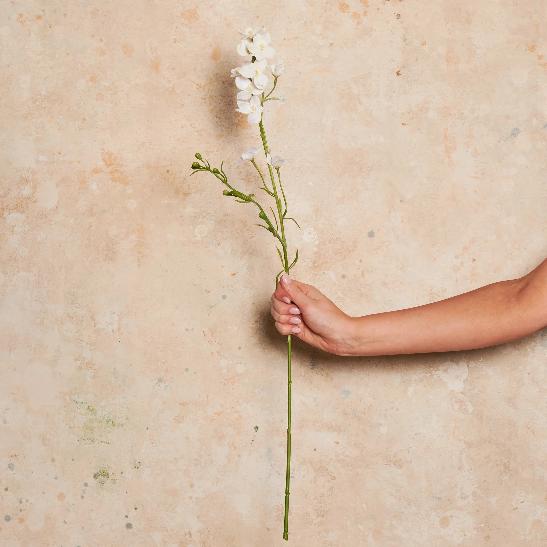 Larkspur Real Touch Flower Stem - Image 6