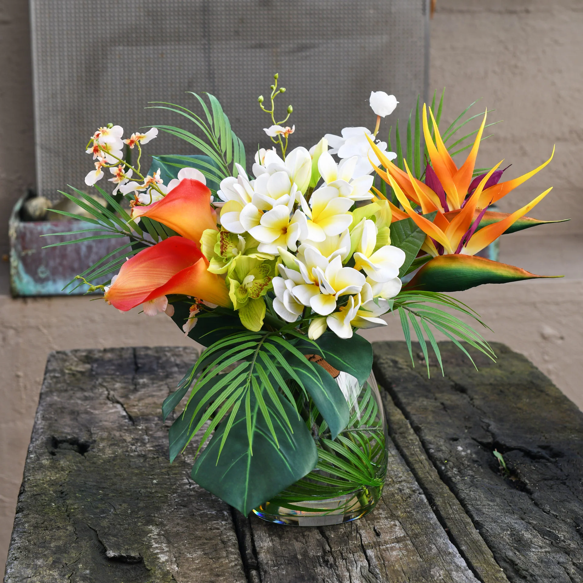 Leilani - Image 10