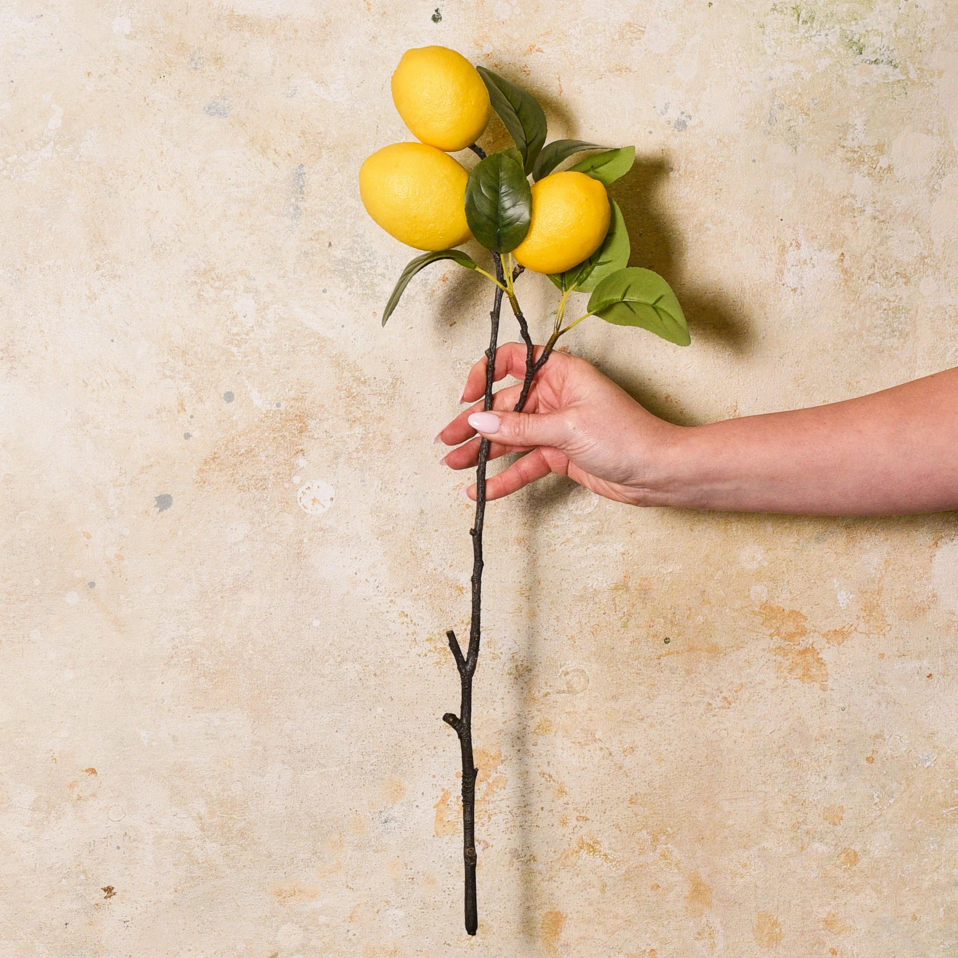 Lemon Real Touch Stem - Image 2