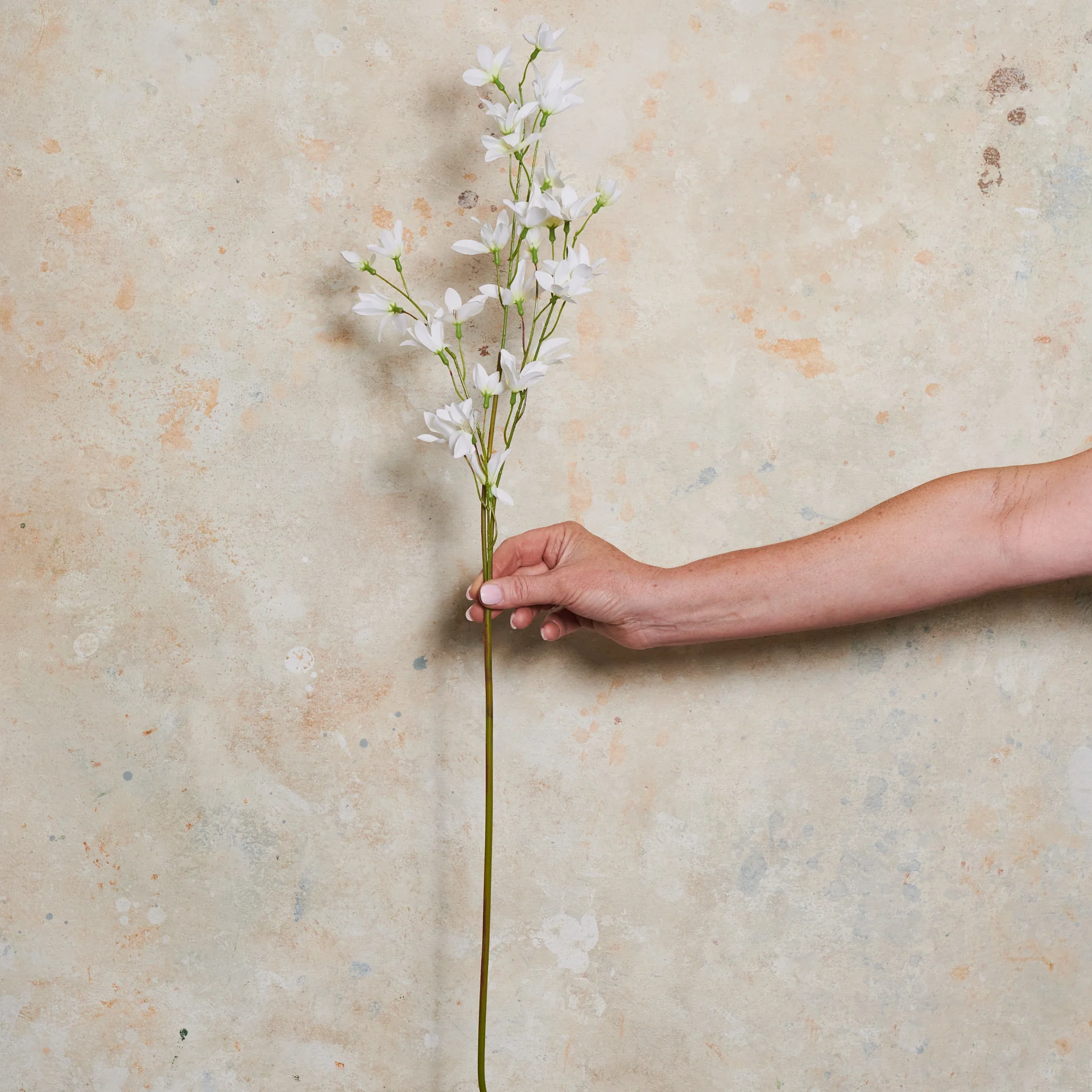 Lily Rain Real Touch Flower Stem - Image 4