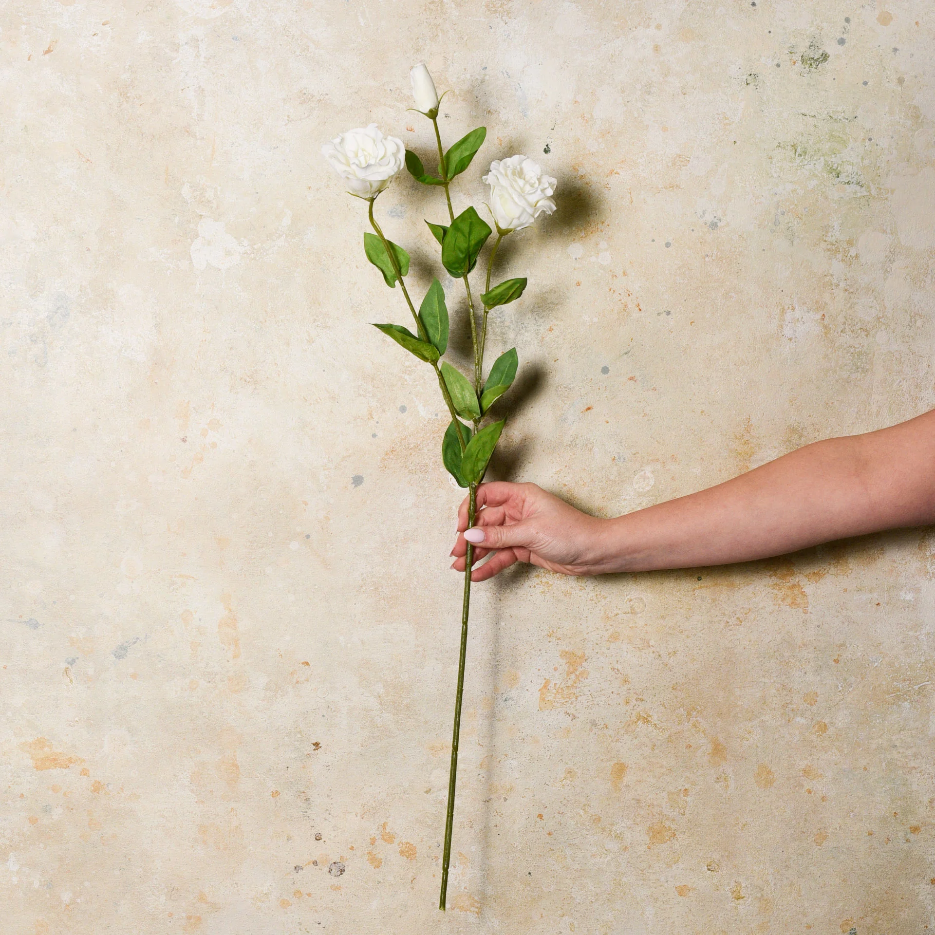 Lisianthus Real Touch Flower Stem - Image 3