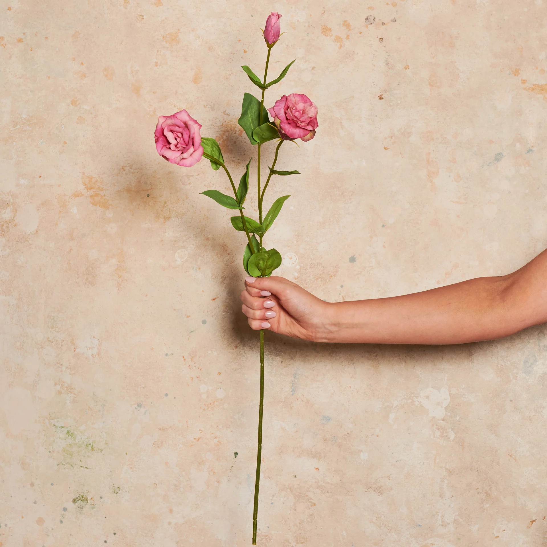 Lisianthus Real Touch Flower Stem - Image 5