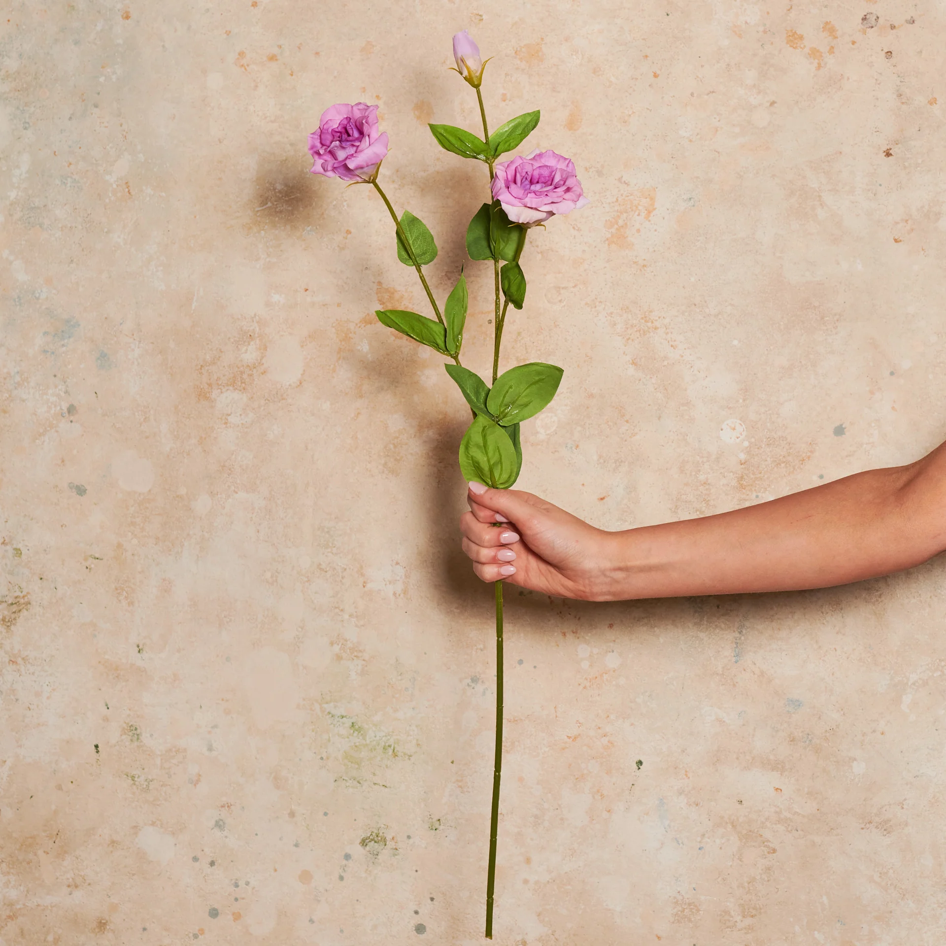 Lisianthus Real Touch Flower Stem - Image 7