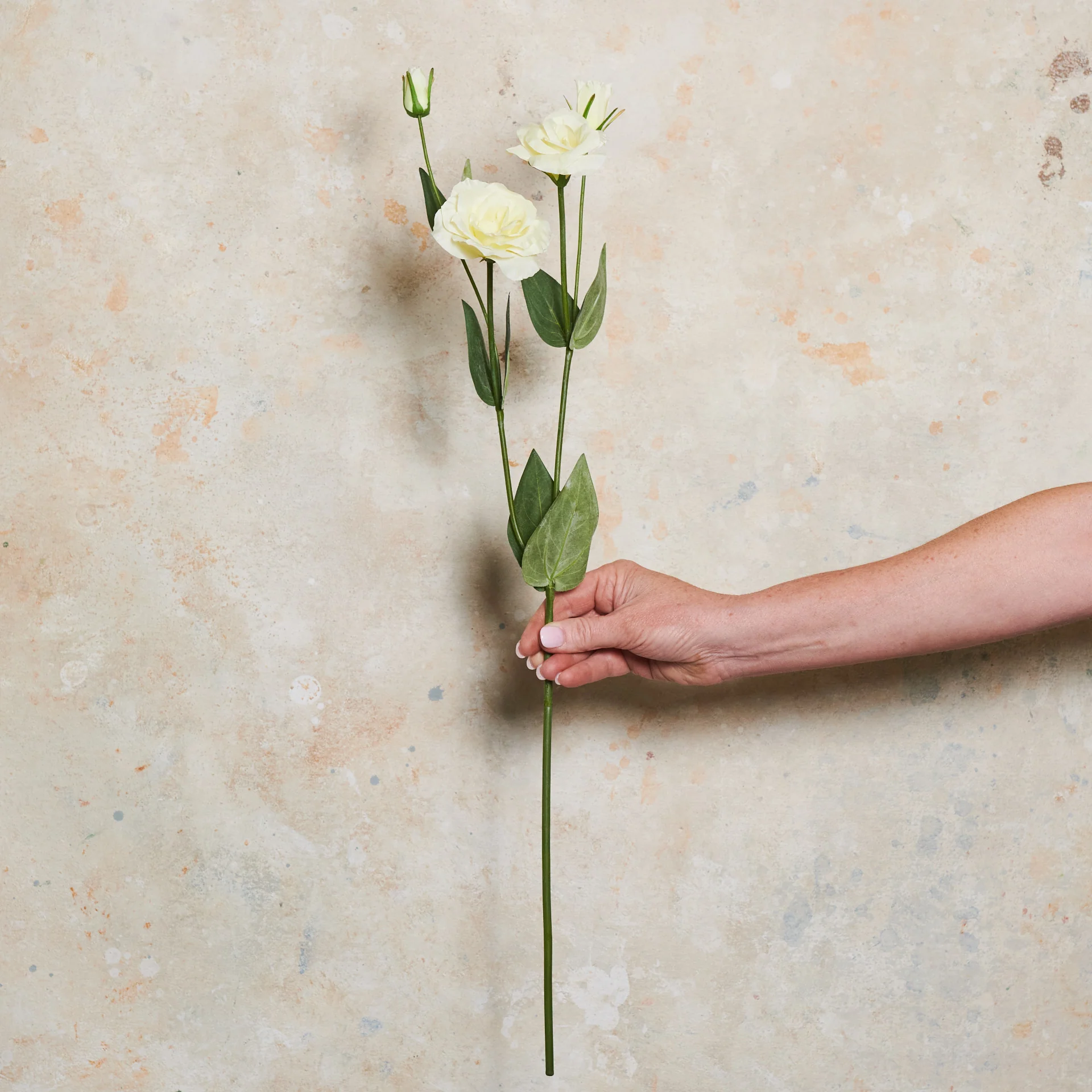 Lisianthus Real Touch Flower Stem - Image 8