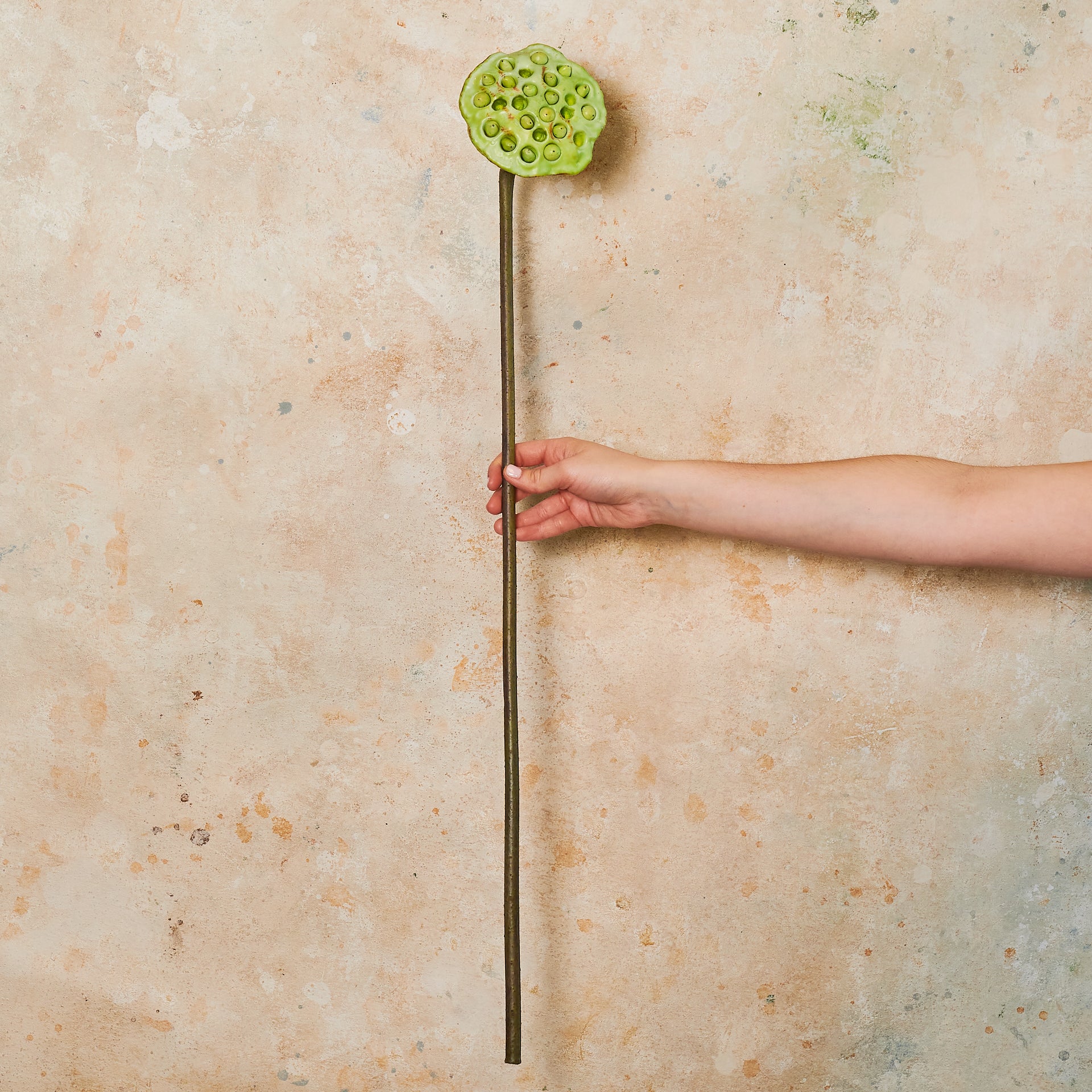 Lotus Pod Real Touch Stem - Image 2