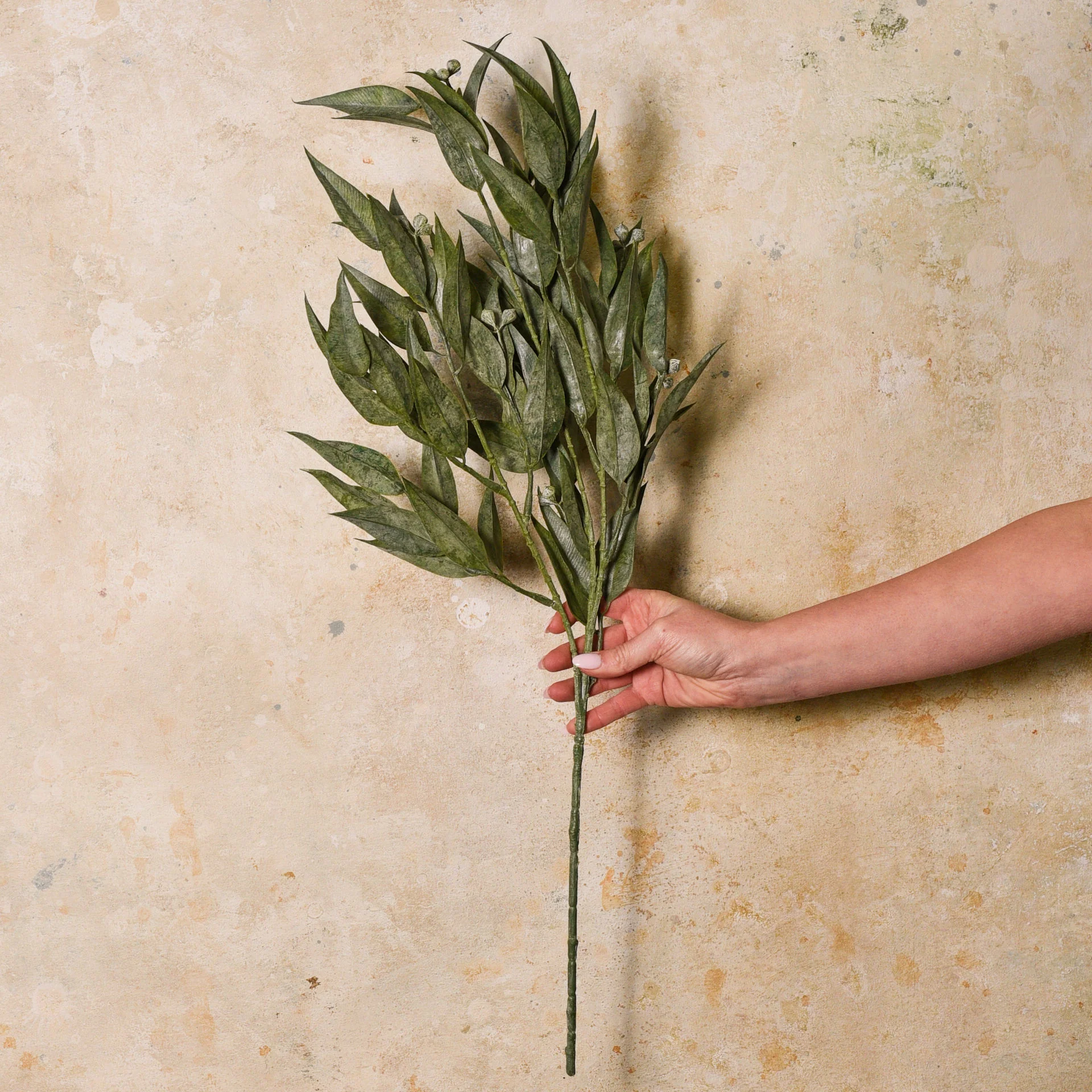 Maggie Seed Pod Eucalyptus Leaf Real Touch Stem - Image 2
