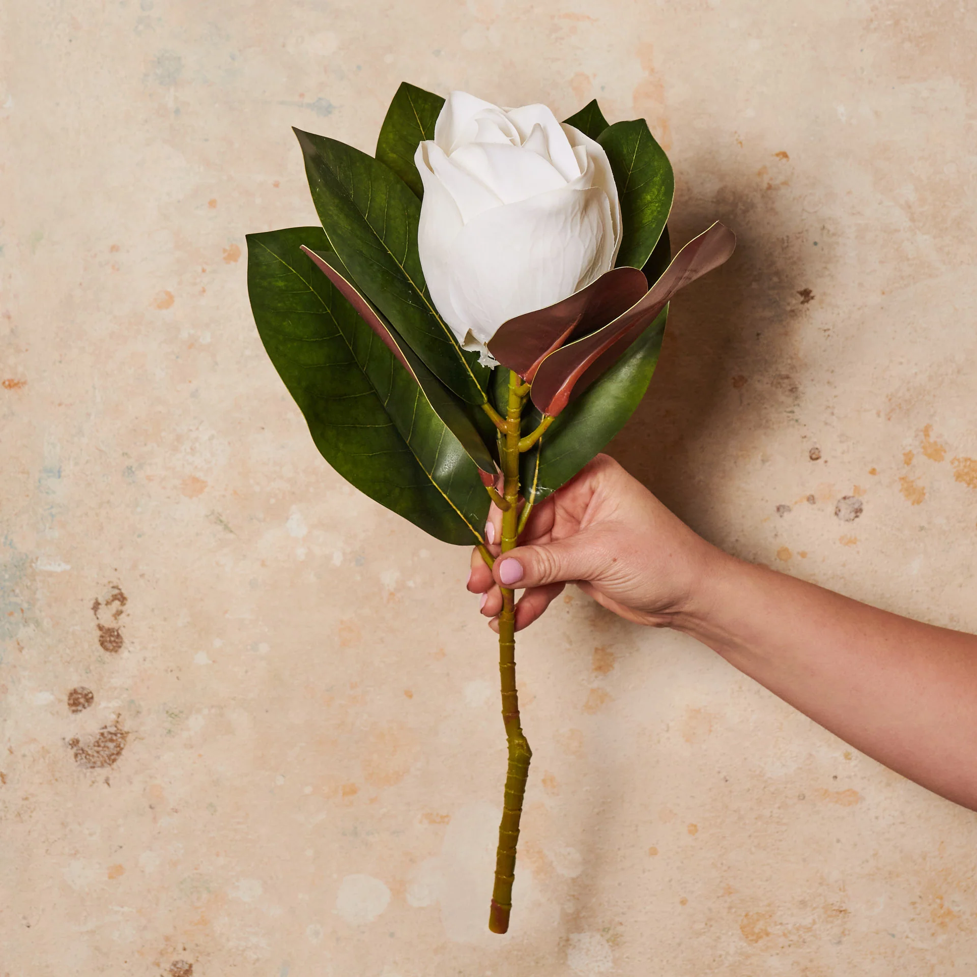 Magnolia Flower Real Touch Flower Stem - Image 3