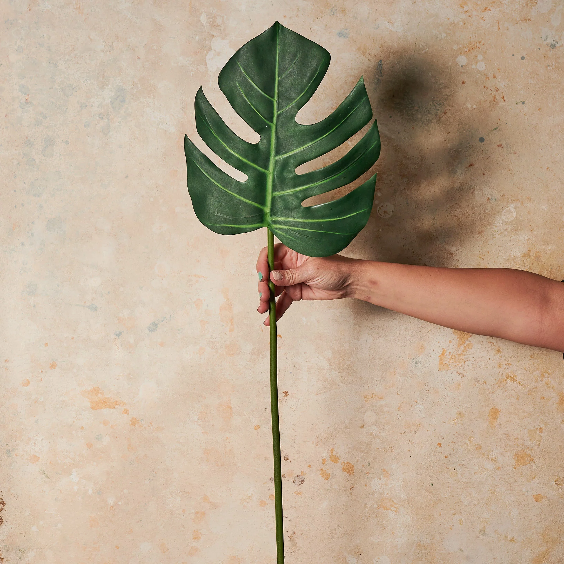 Monstera Leaf Real Touch Leaf Stem - Image 2