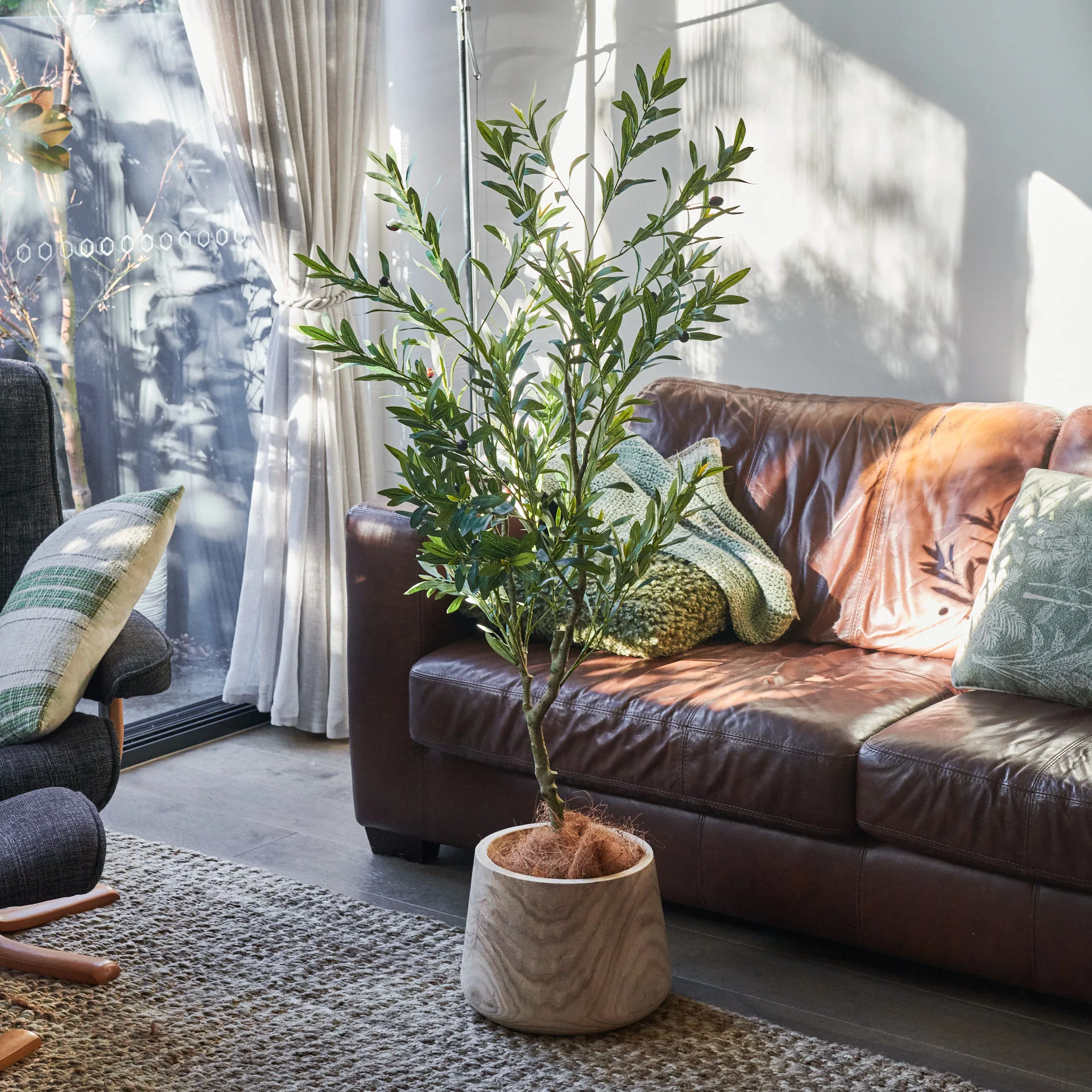 Everly Real Touch Olive Tree with Wood Pot - Image 9