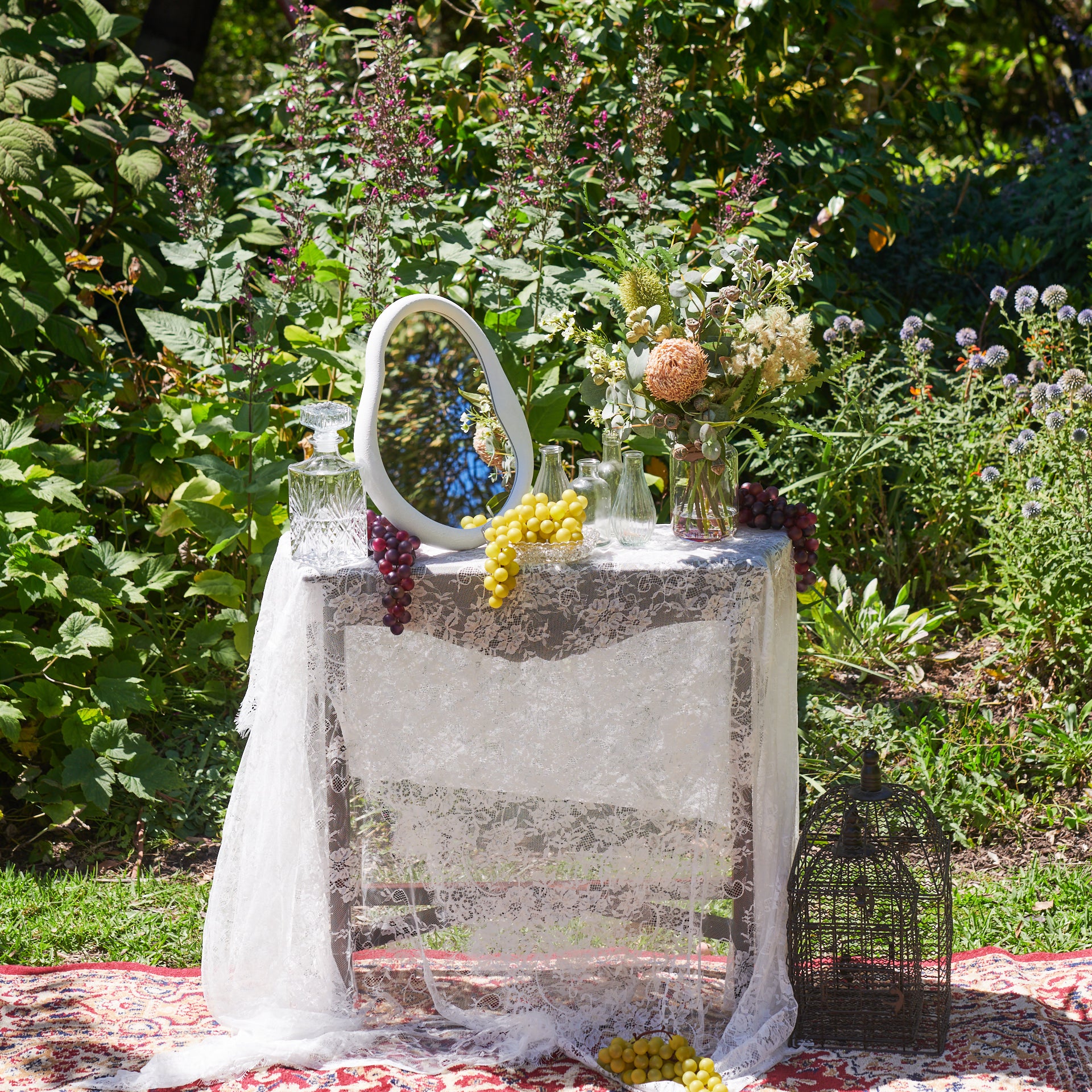Oliver - Image 15