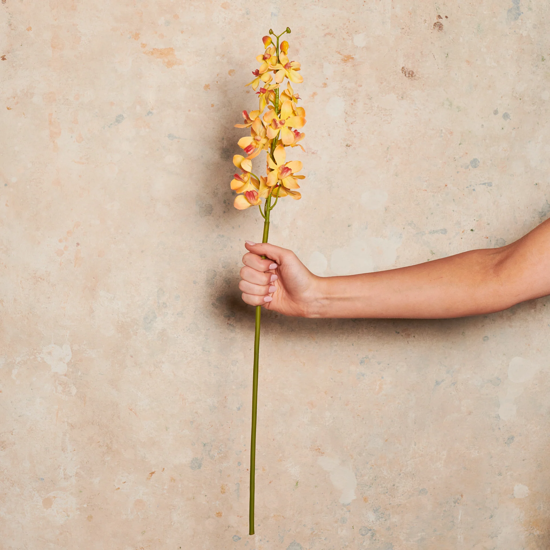 Orchid Vanda Real Touch Flower Stem - Image 3