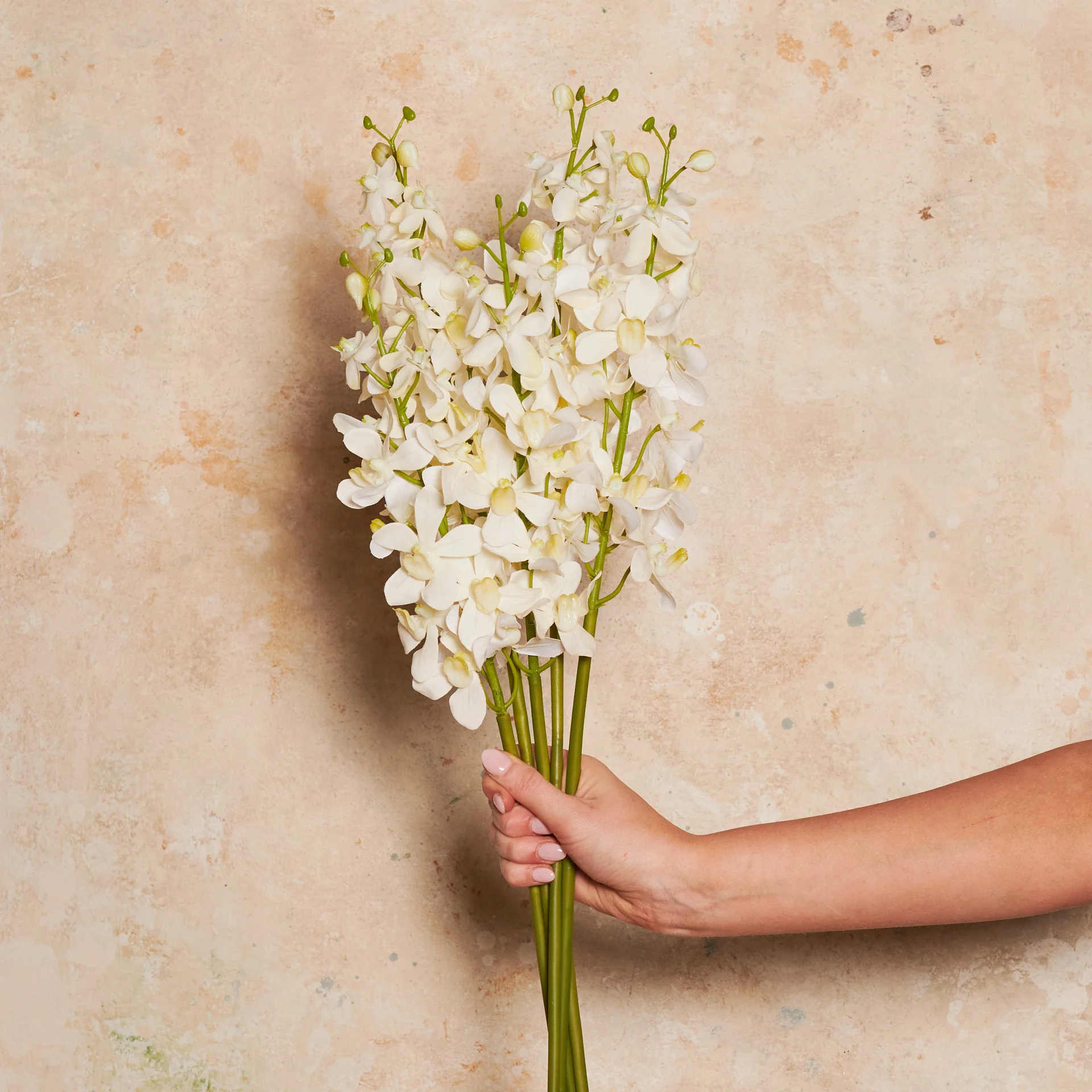 Orchid Vanda Real Touch Flower Stem - Image 4