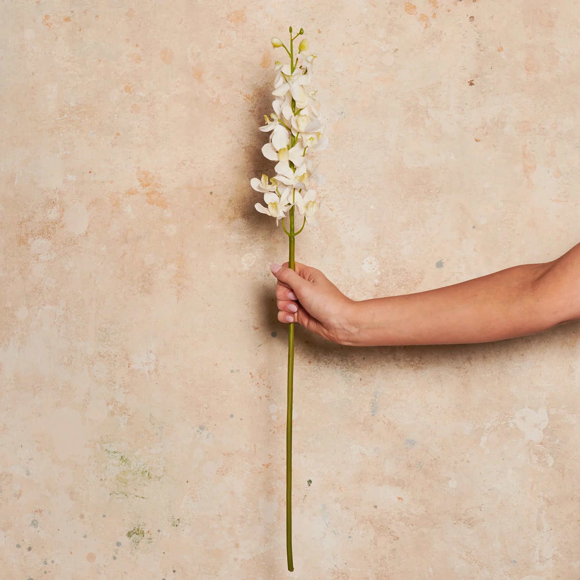 Orchid Vanda Real Touch Flower Stem - Image 5