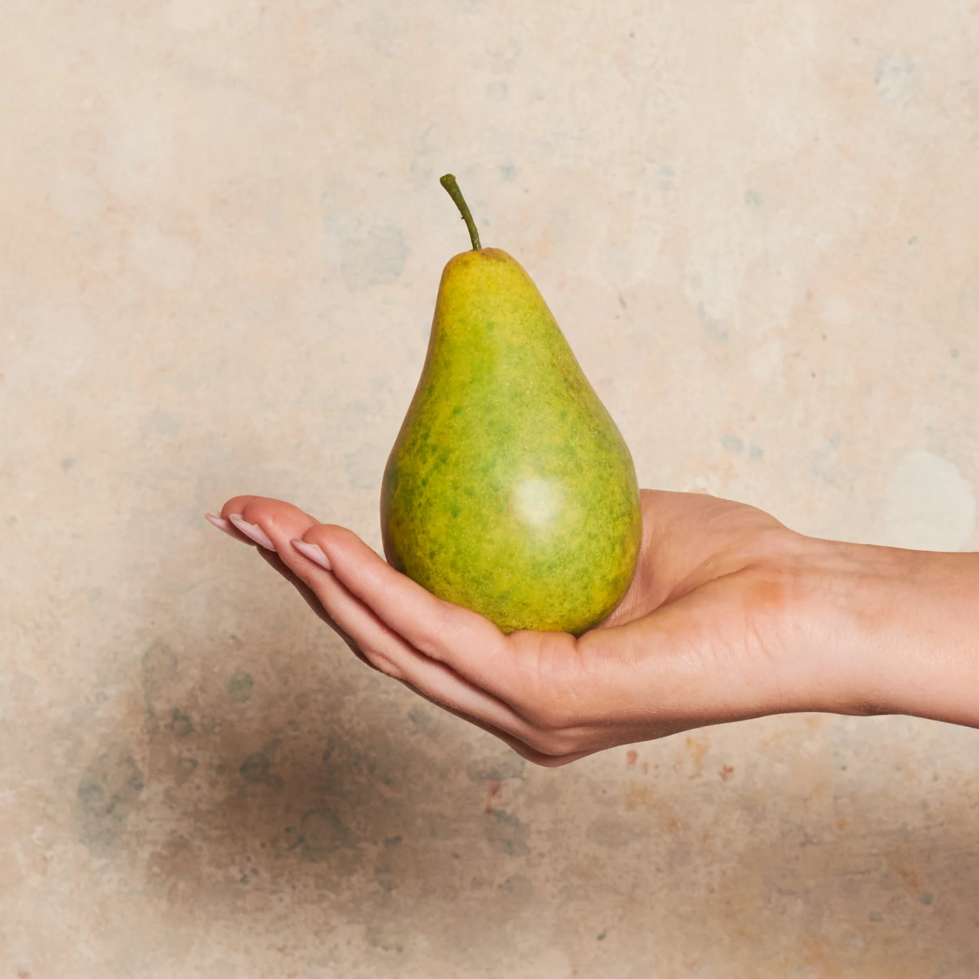 Pear Bartlet Artificial Fruit - Image 3