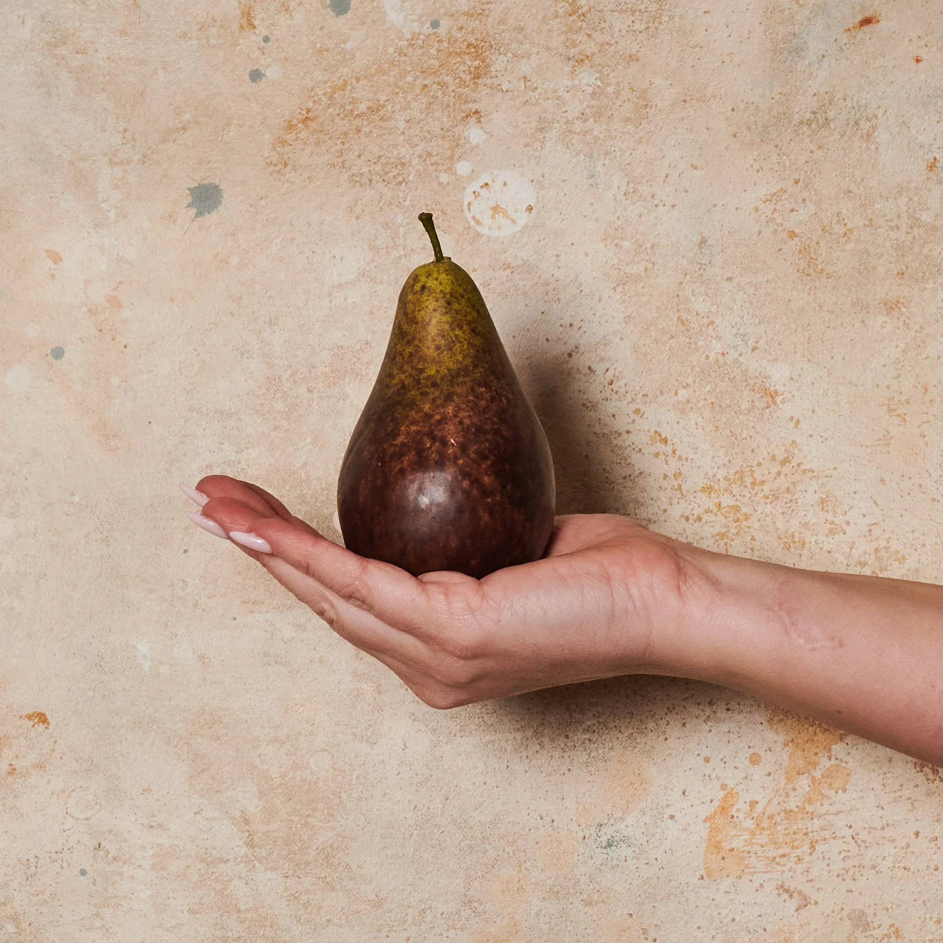 Pear Bartlet Artificial Fruit - Image 4