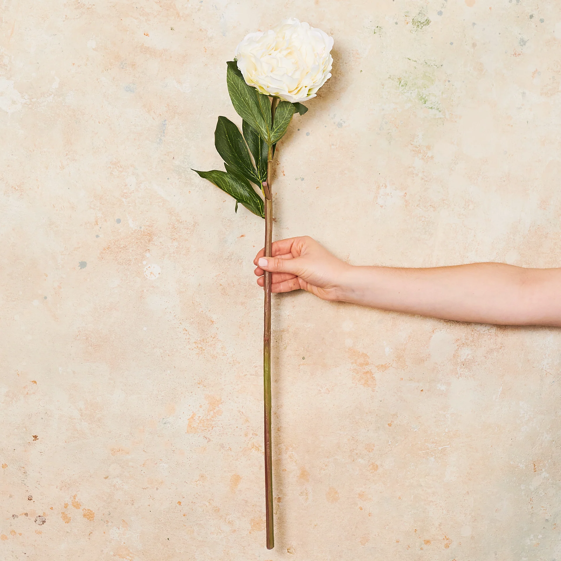 Peony Large Real Touch Flower Stem - Image 3