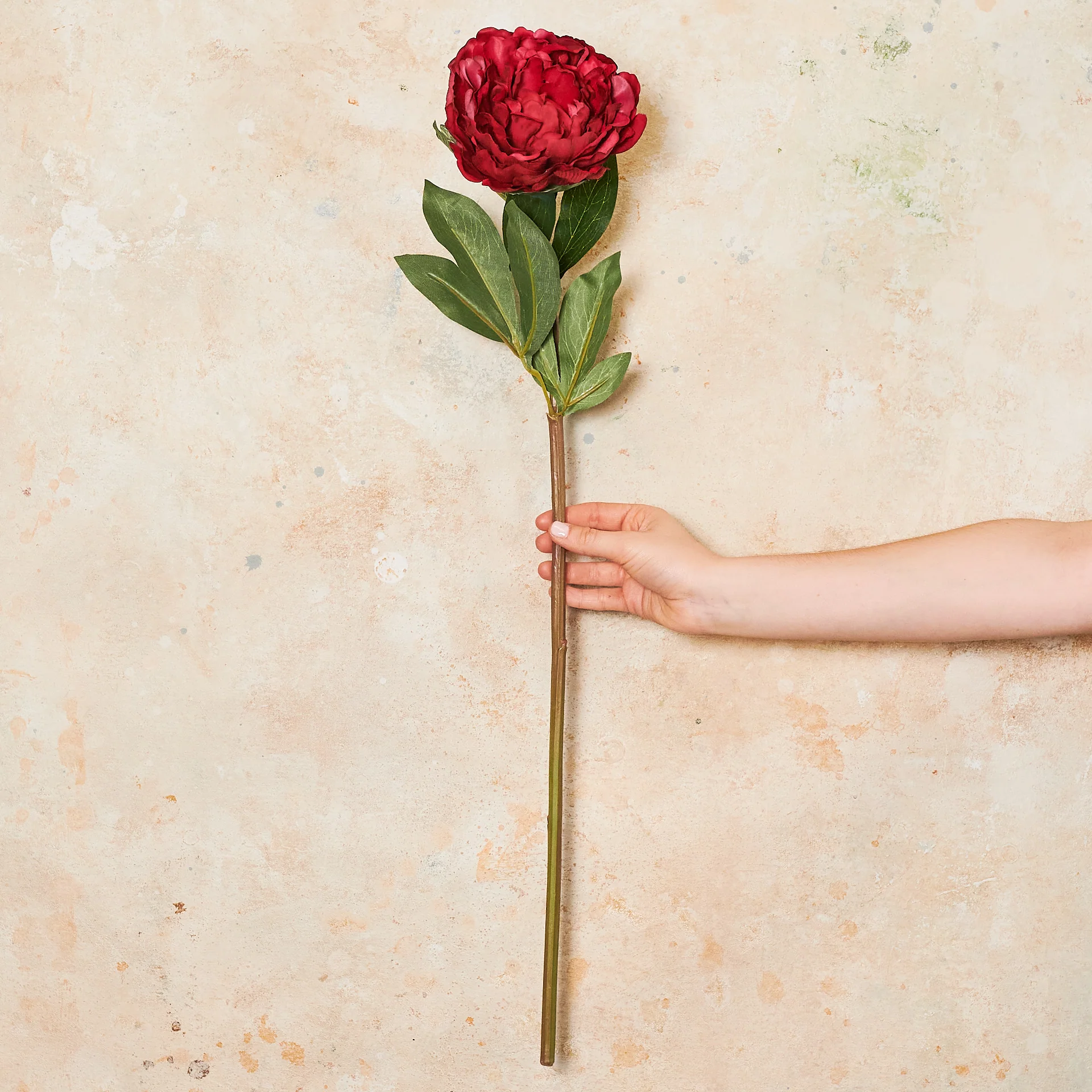 Peony Large Real Touch Flower Stem - Image 4