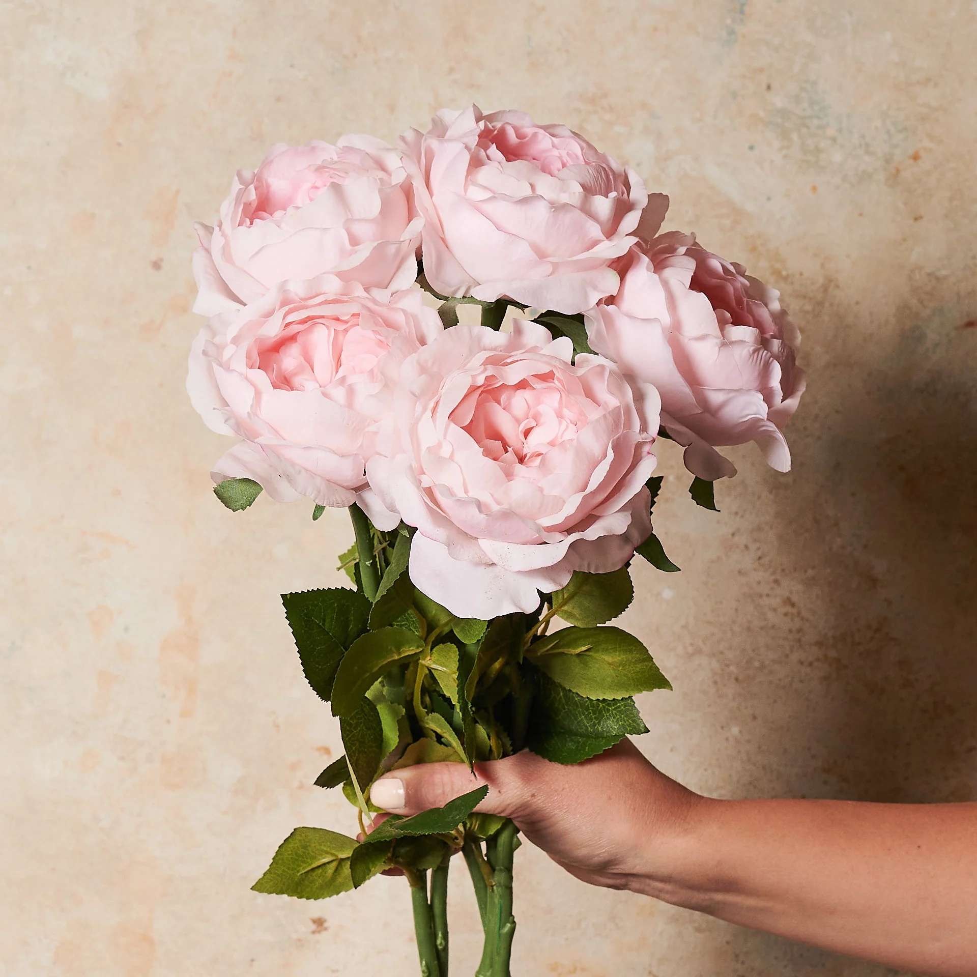 Peony Rose Real Touch Flower Stem - Image 3