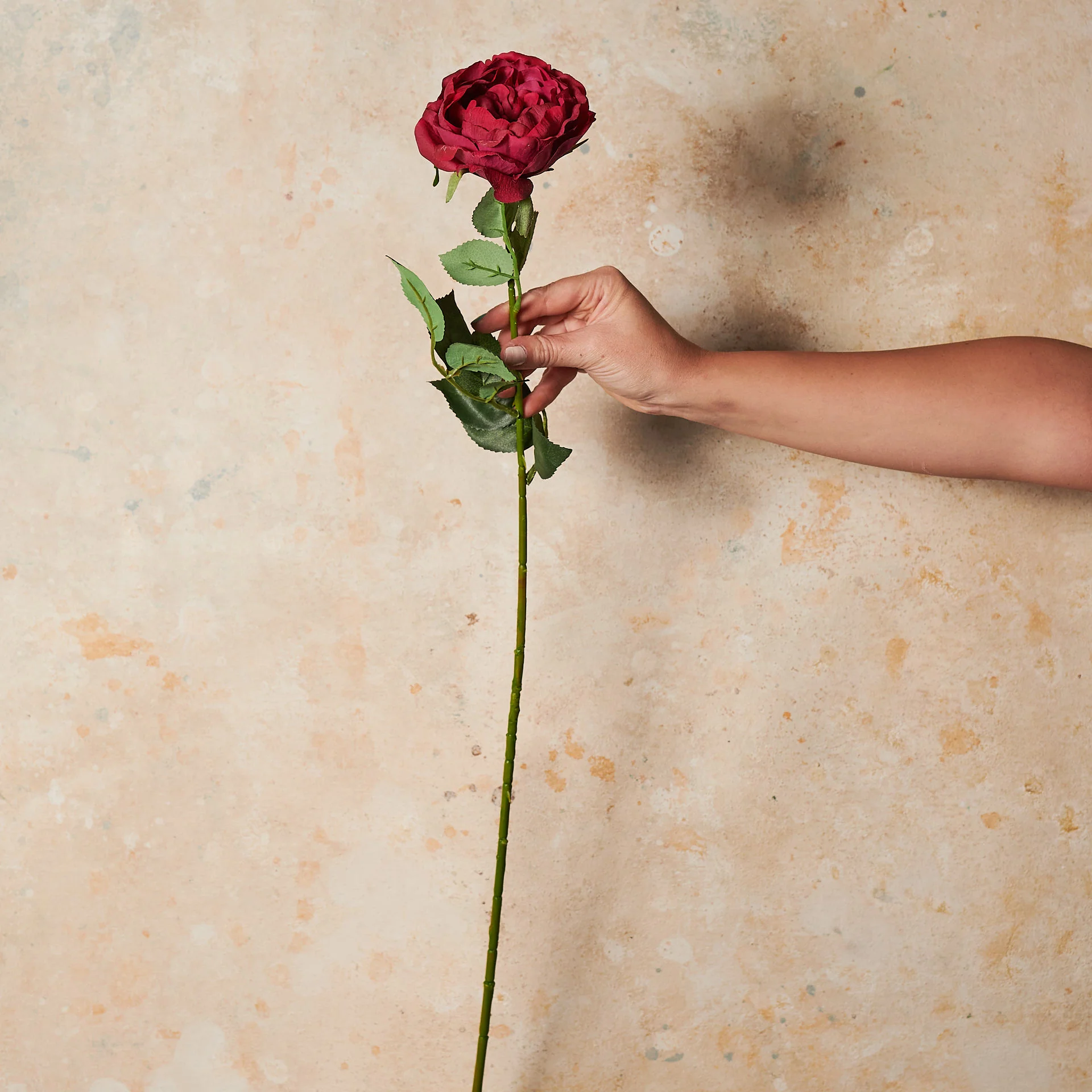 Peony Rose Real Touch Flower Stem - Image 6