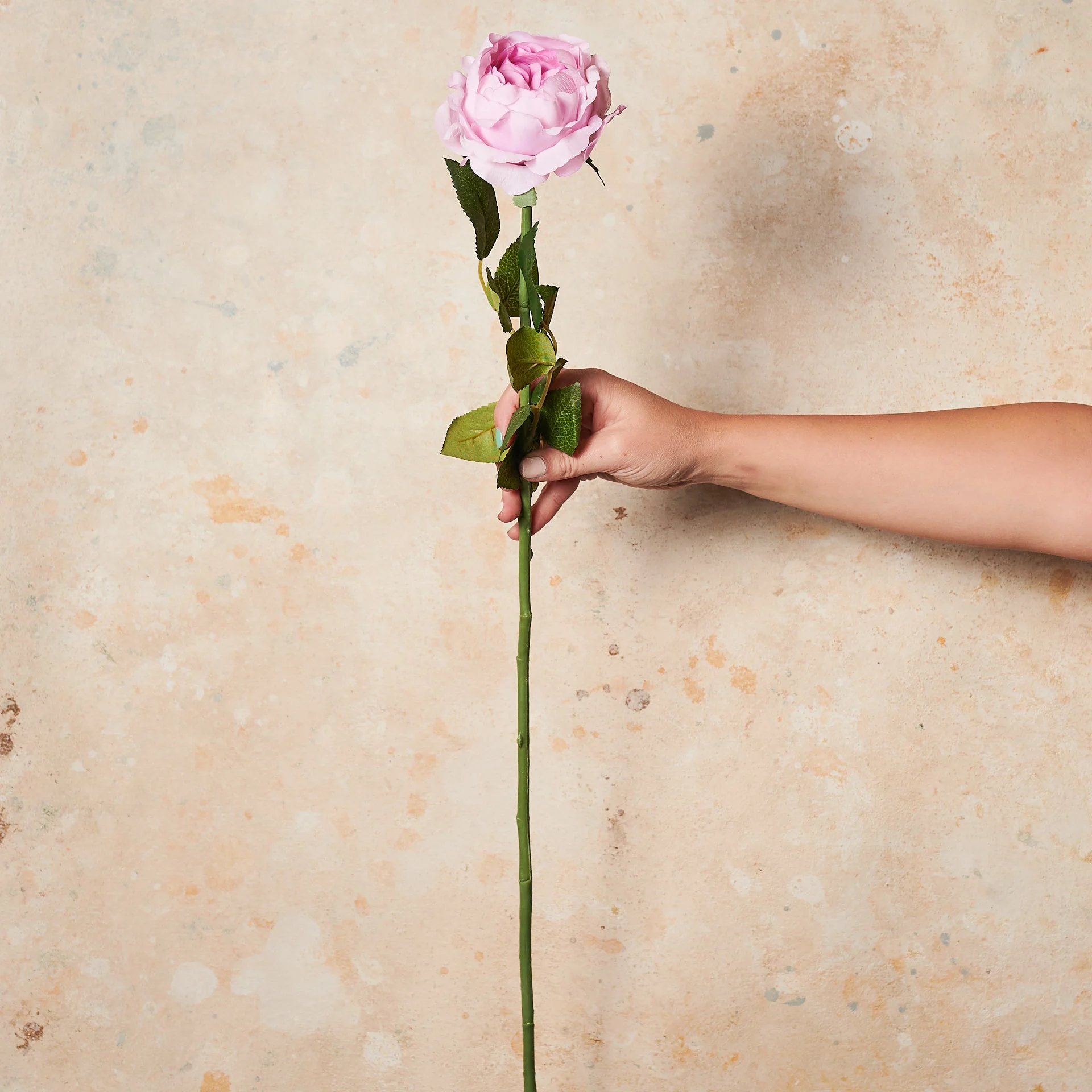 Peony Rose Real Touch Flower Stem - Image 7