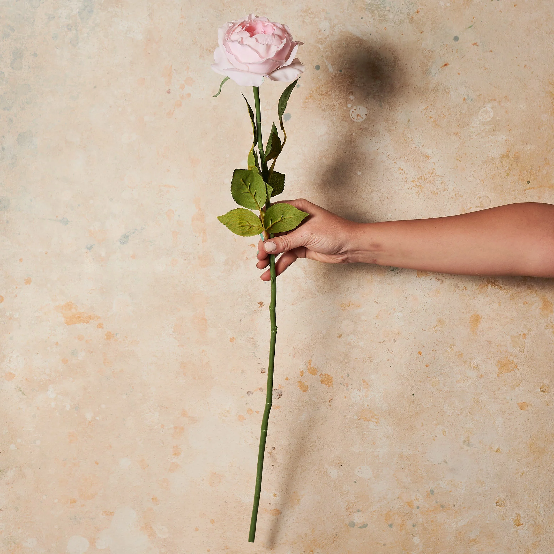 Peony Rose Real Touch Flower Stem - Image 8