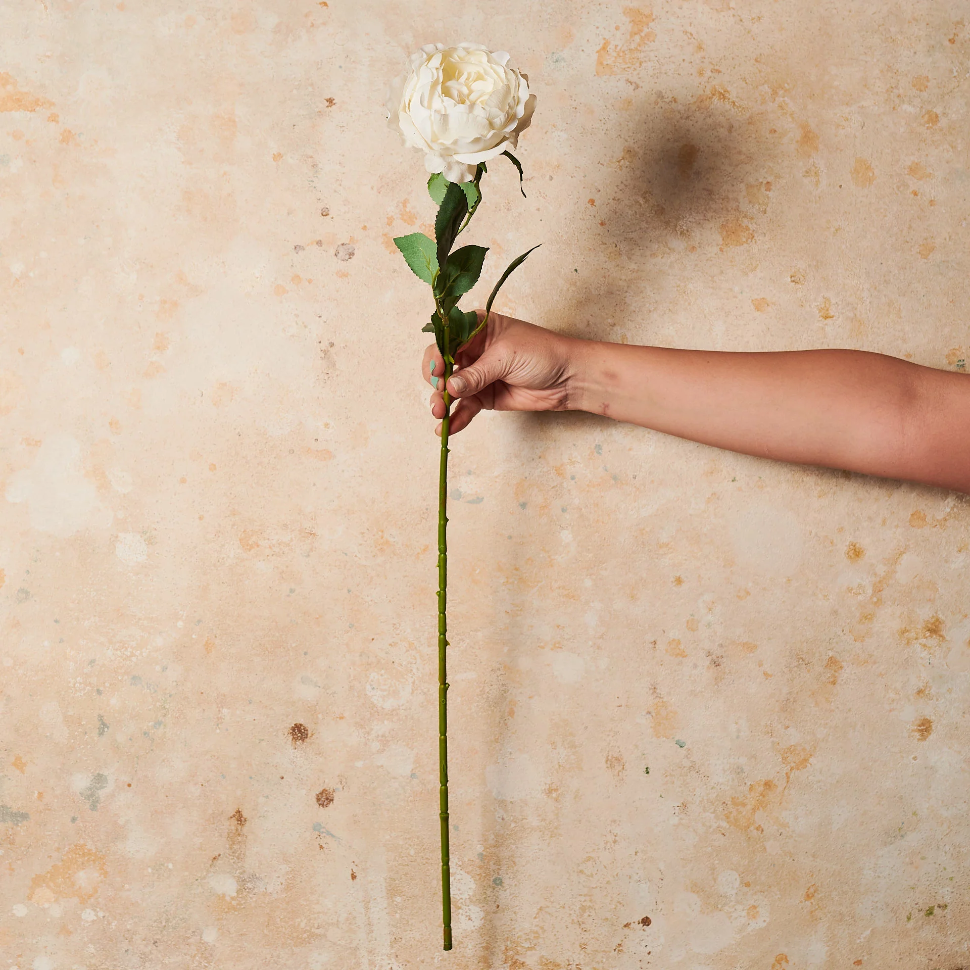Peony Rose Real Touch Flower Stem - Image 9