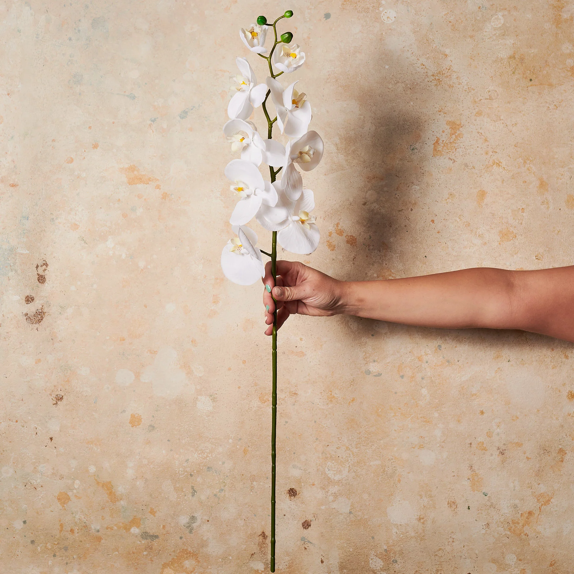 Phalaenopsis Orchid Long Real Touch Flower Stem - Image 3