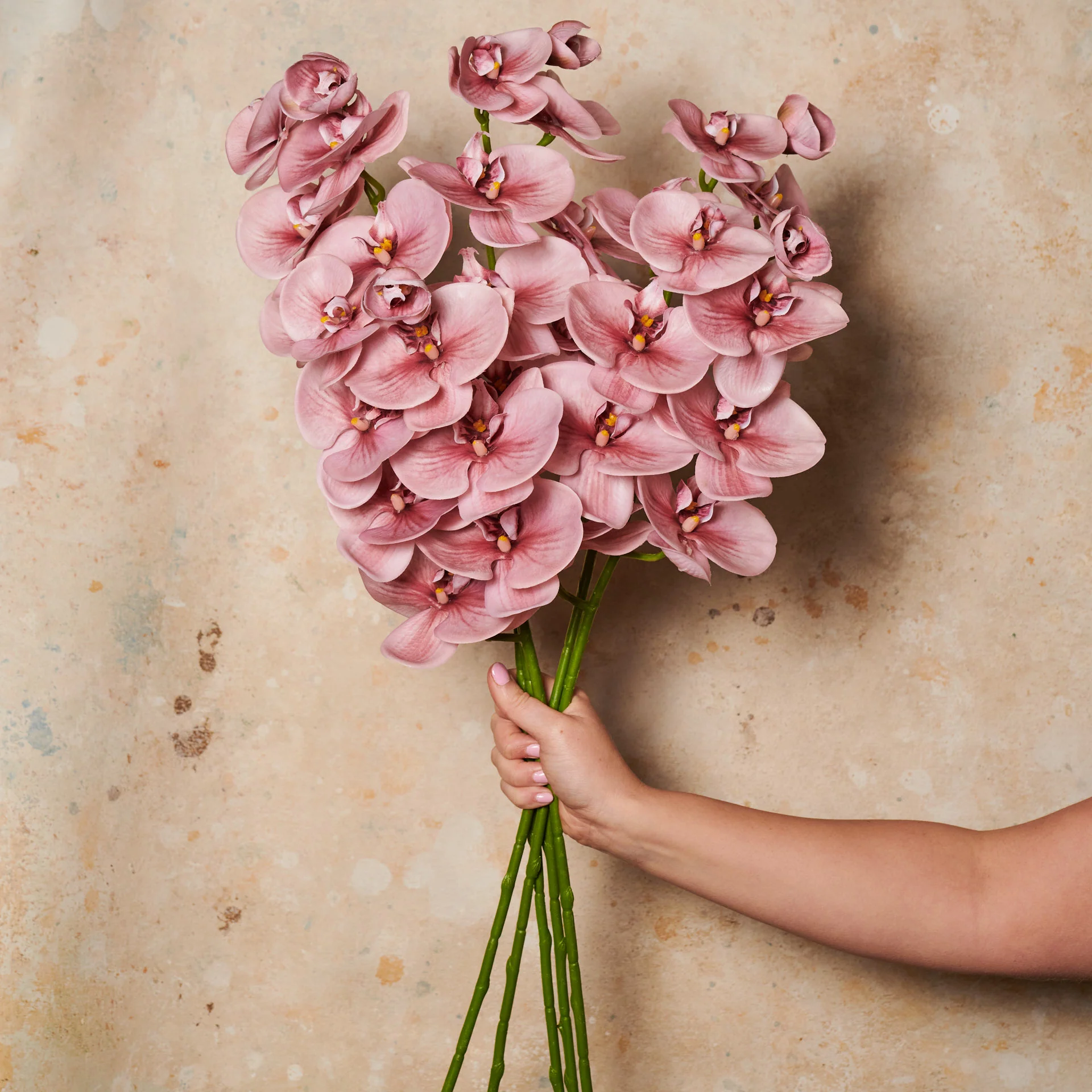 Phalaenopsis Orchid Long Real Touch Flower Stem - Image 4