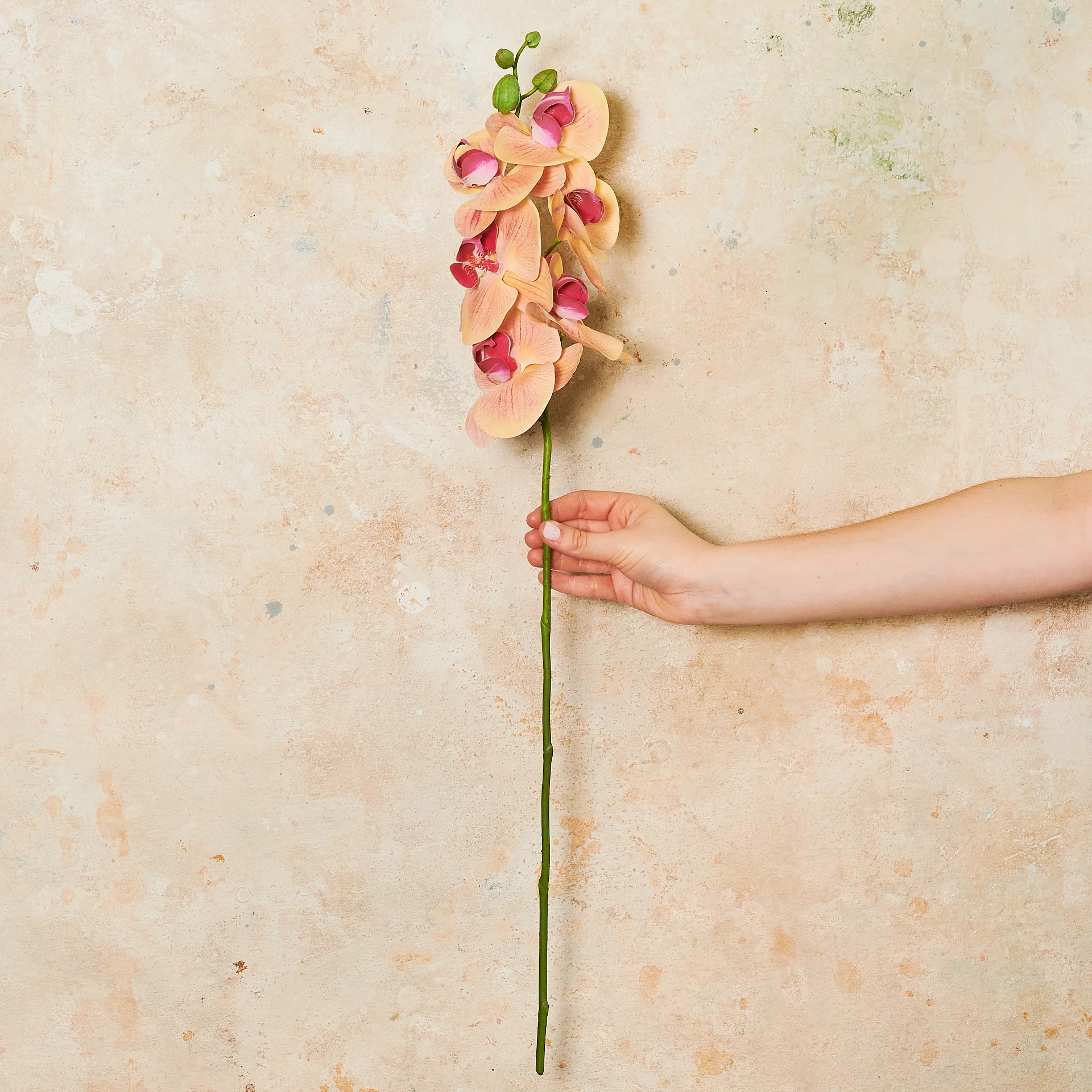 Phalaenopsis Orchid Real Touch Flower Stem - Image 2