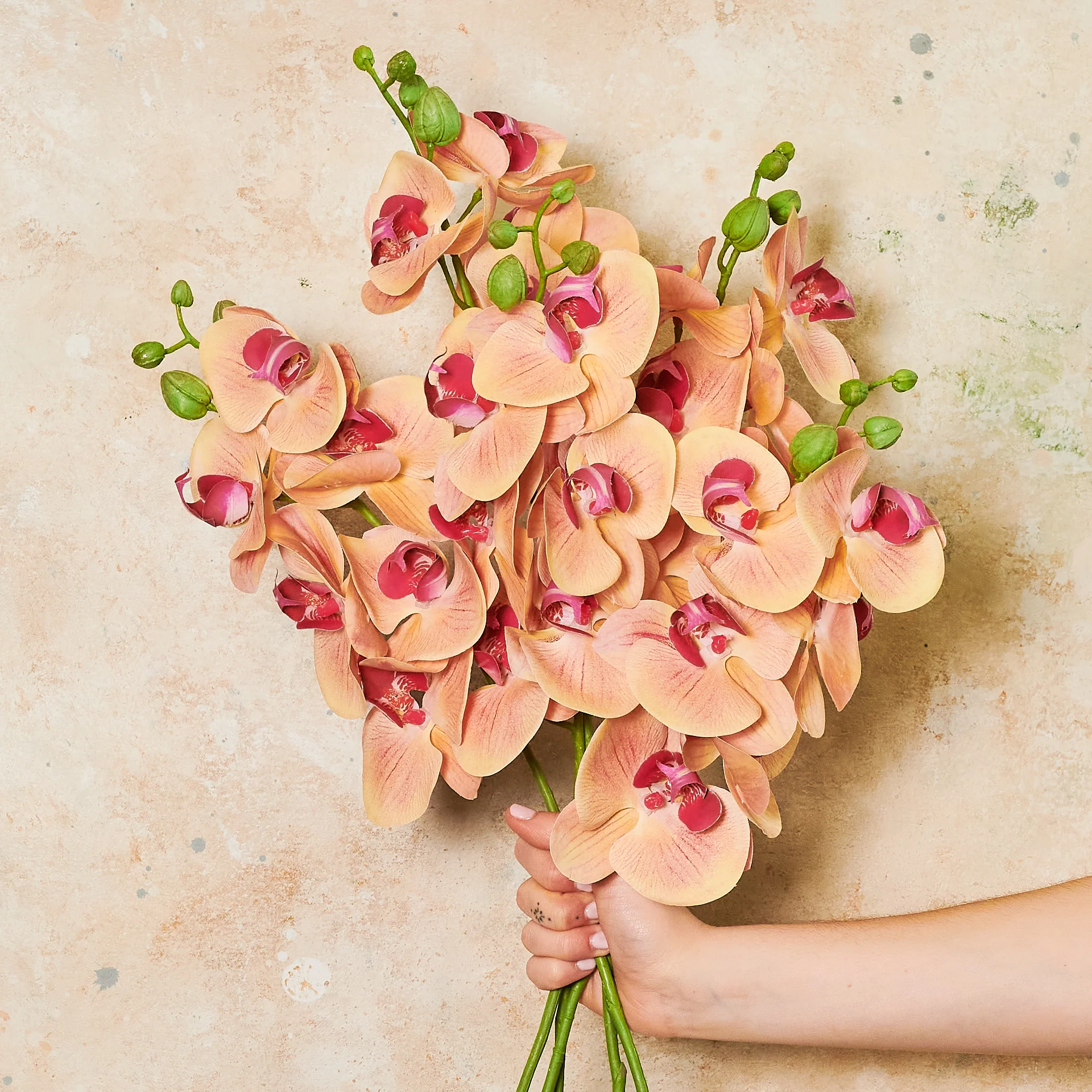 Phalaenopsis Orchid Real Touch Flower Stem - Image 3