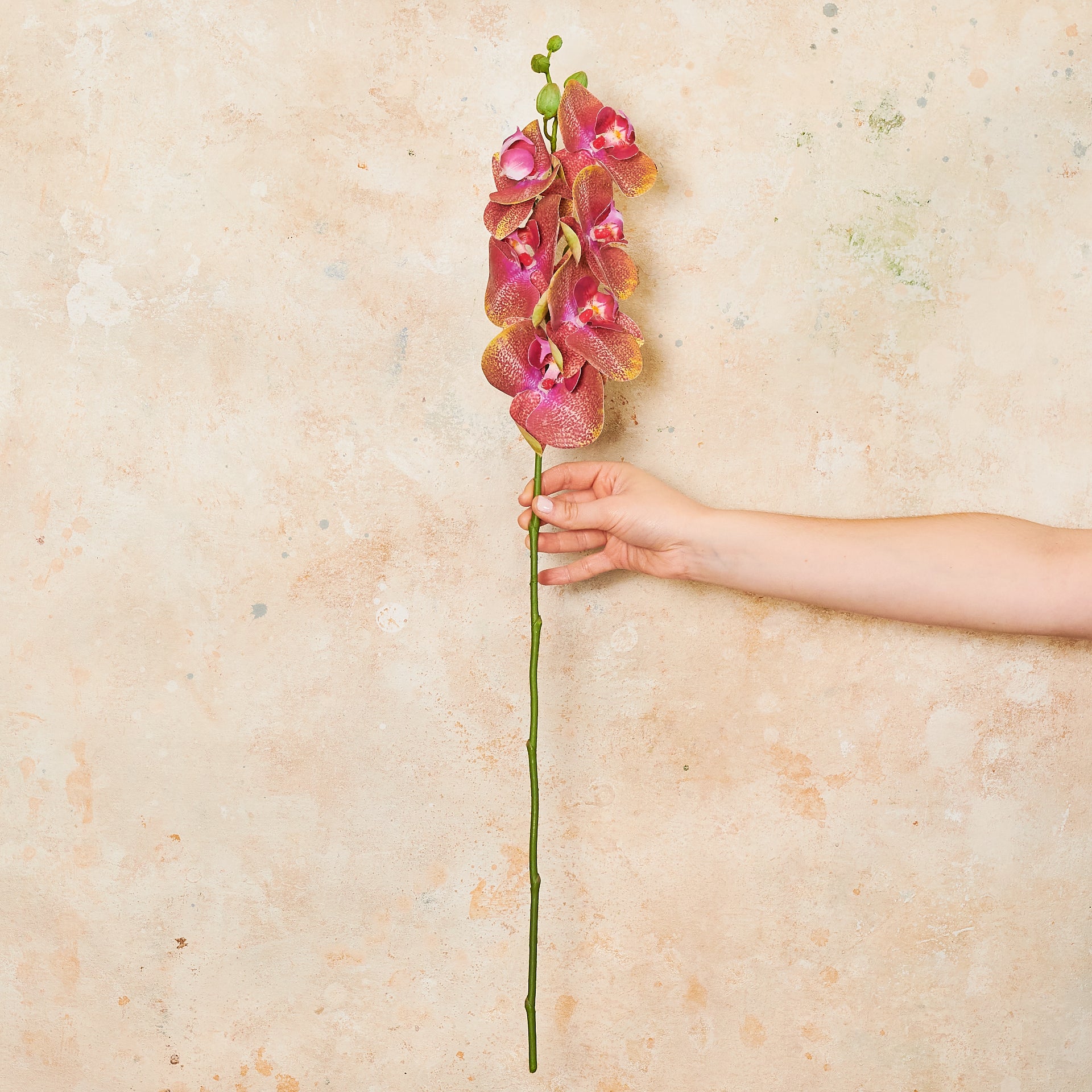 Phalaenopsis Orchid Real Touch Flower Stem - Image 4