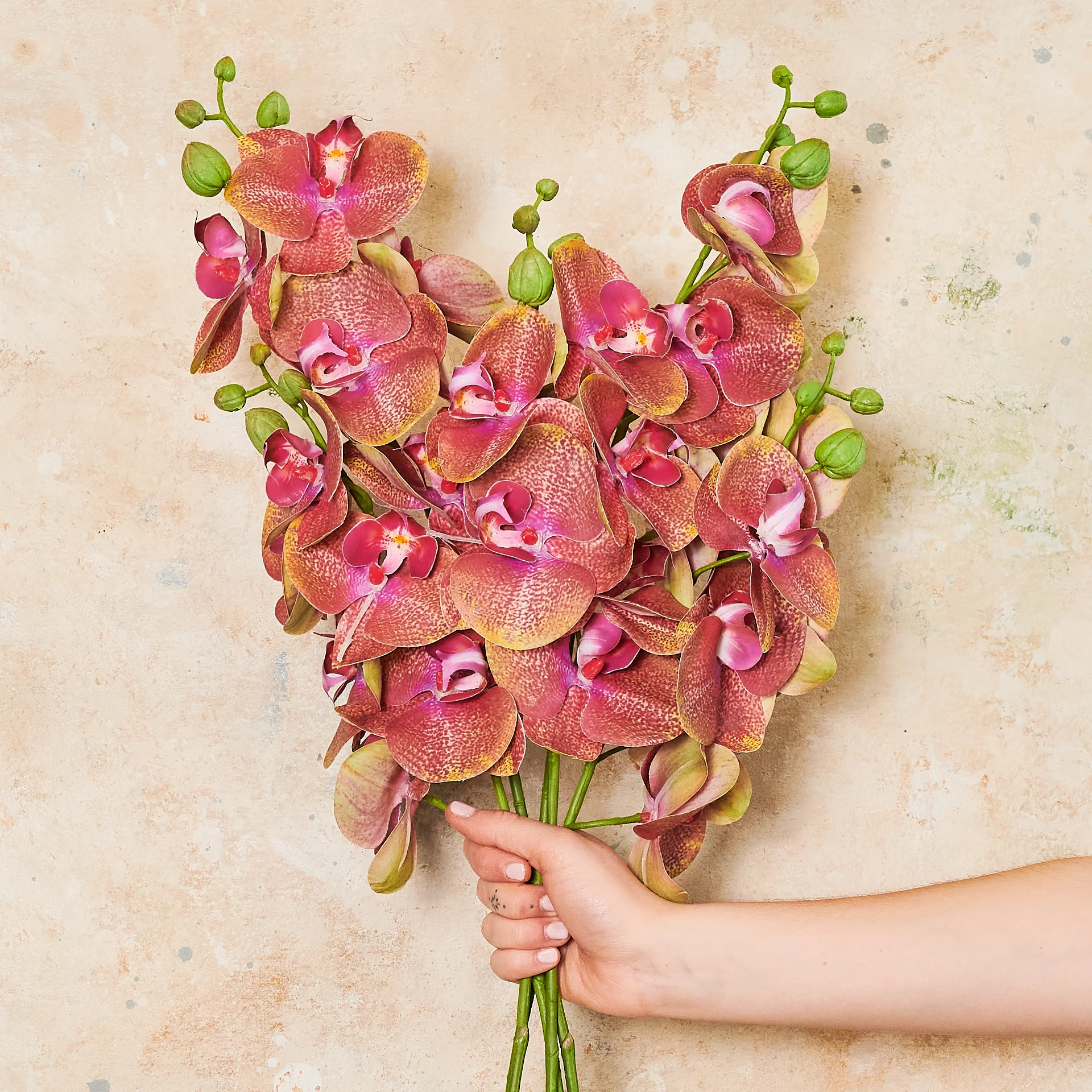 Phalaenopsis Orchid Real Touch Flower Stem - Image 5
