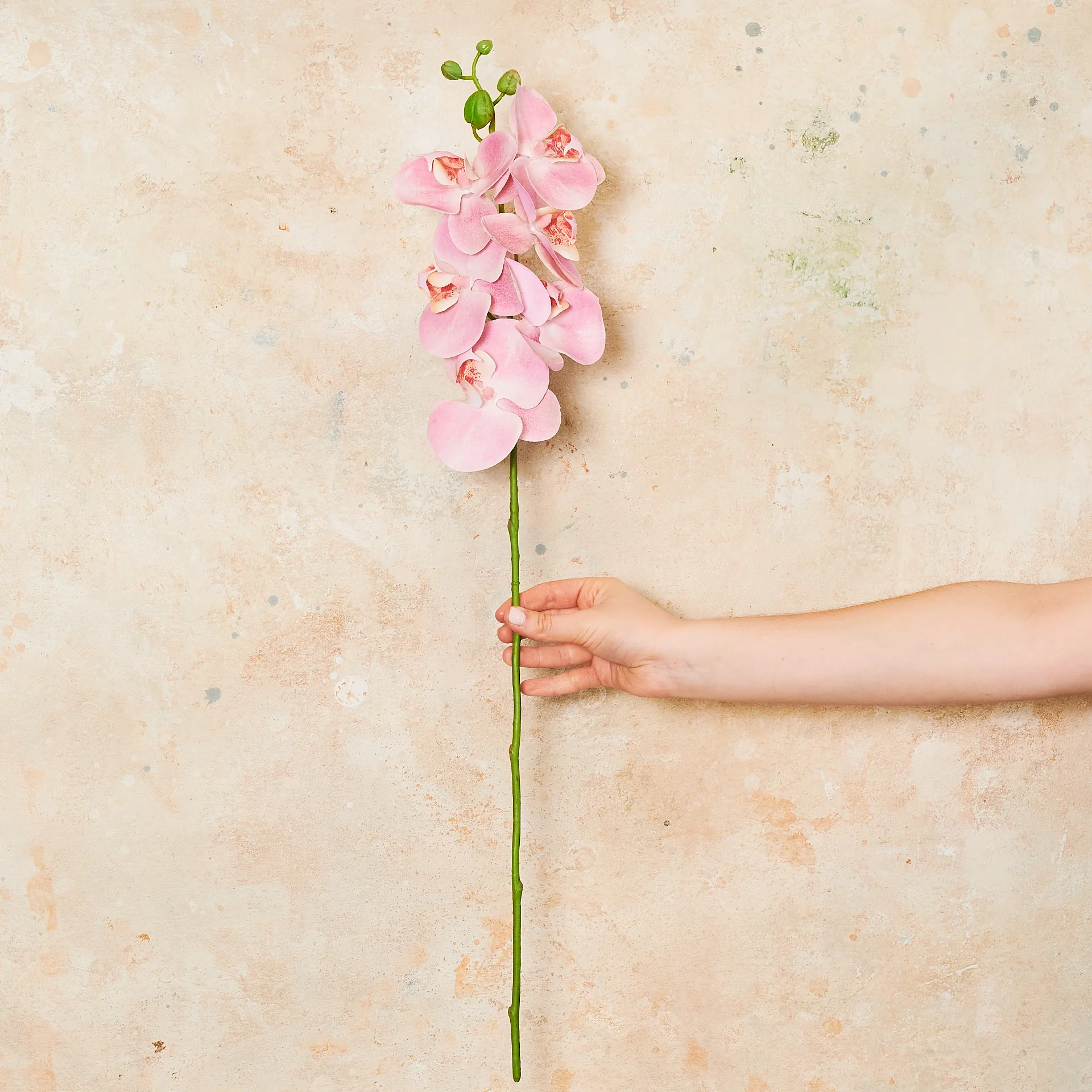 Phalaenopsis Orchid Real Touch Flower Stem - Image 6
