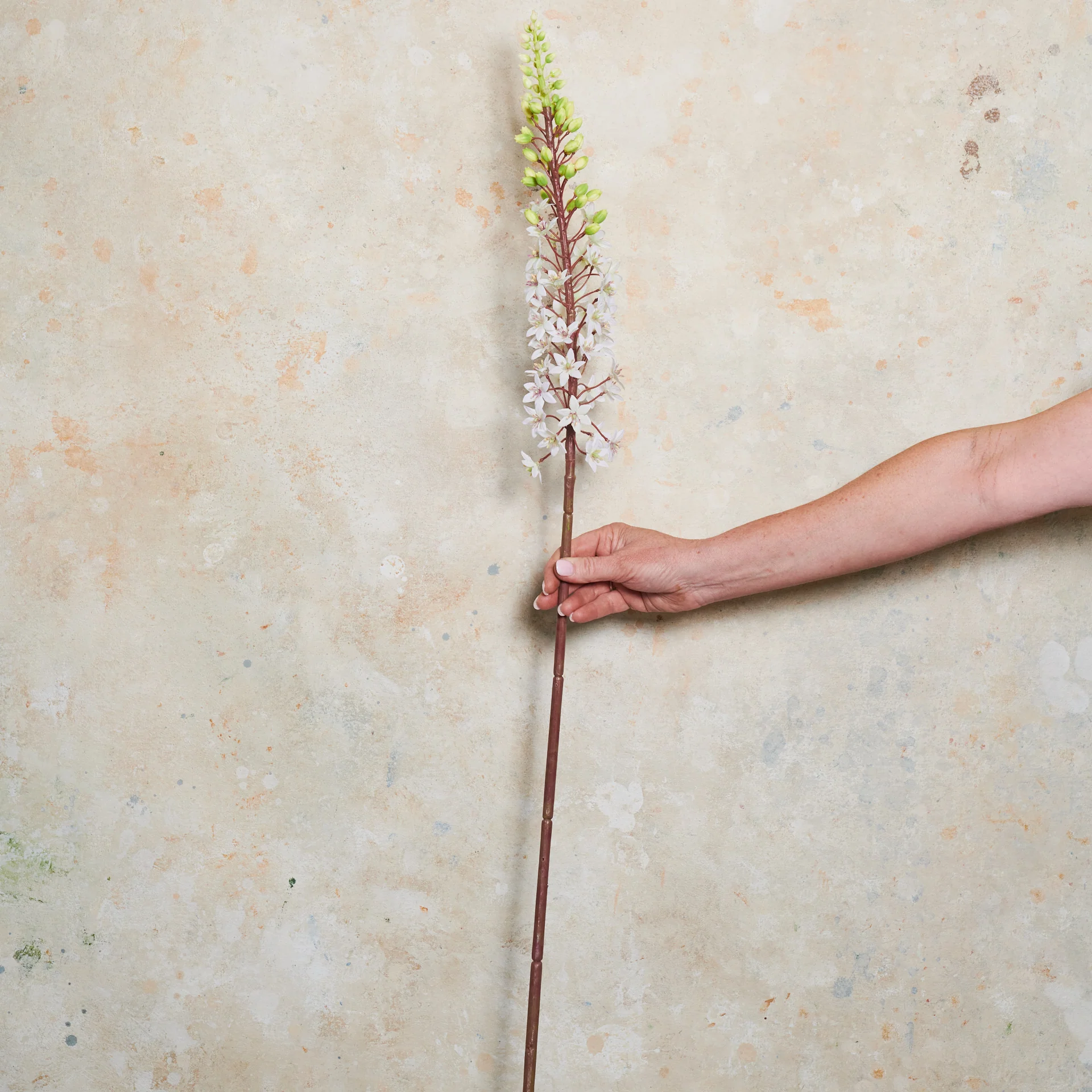 Pineapple Lily Real Touch Flower Stem - Image 2
