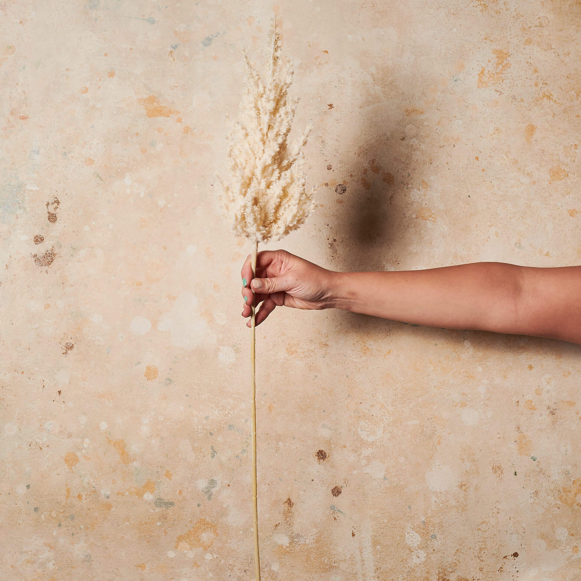 Plume Grass Cream Real Touch Stem - Image 2