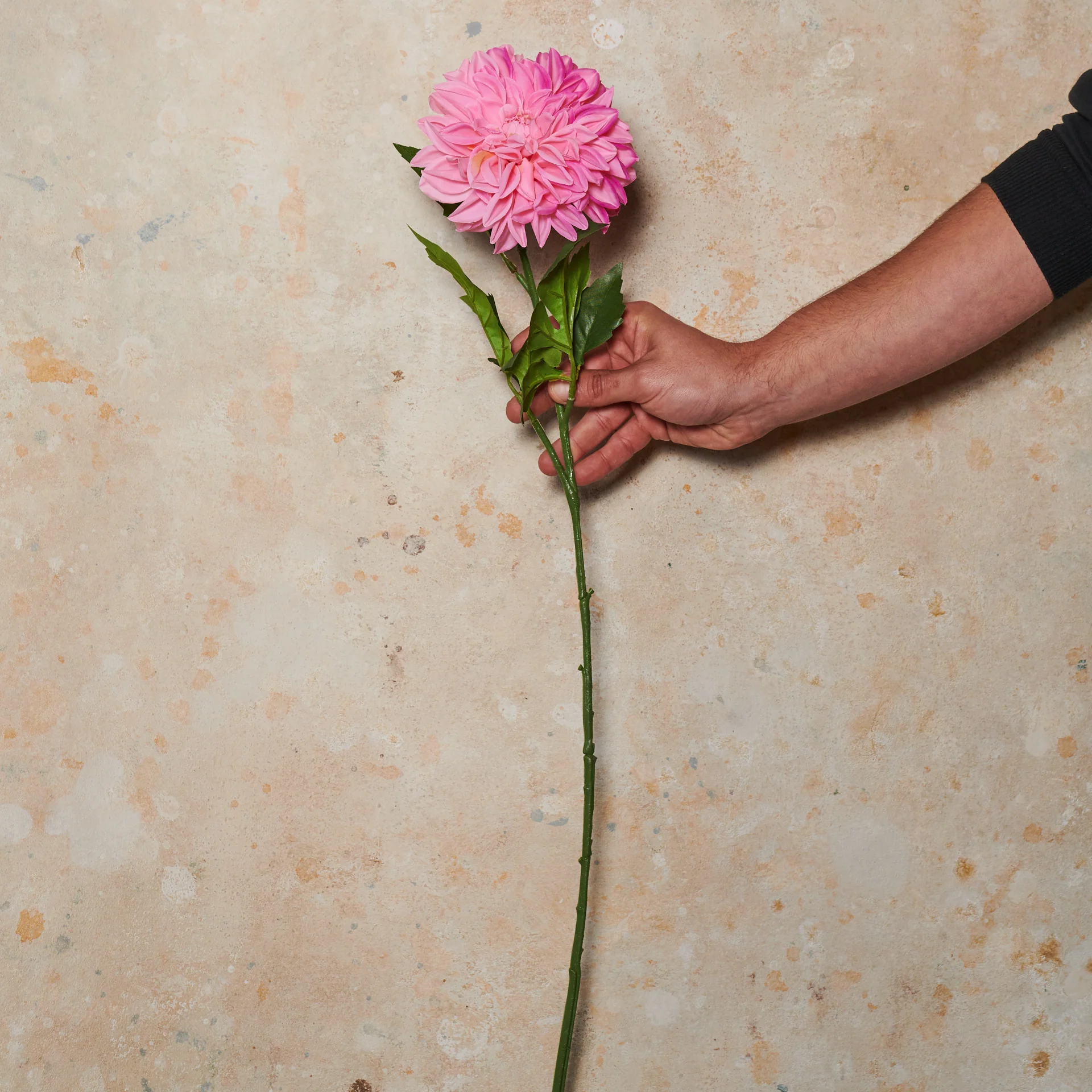 Pompon Dahlia Large Real Touch Flower Stem - Image 4
