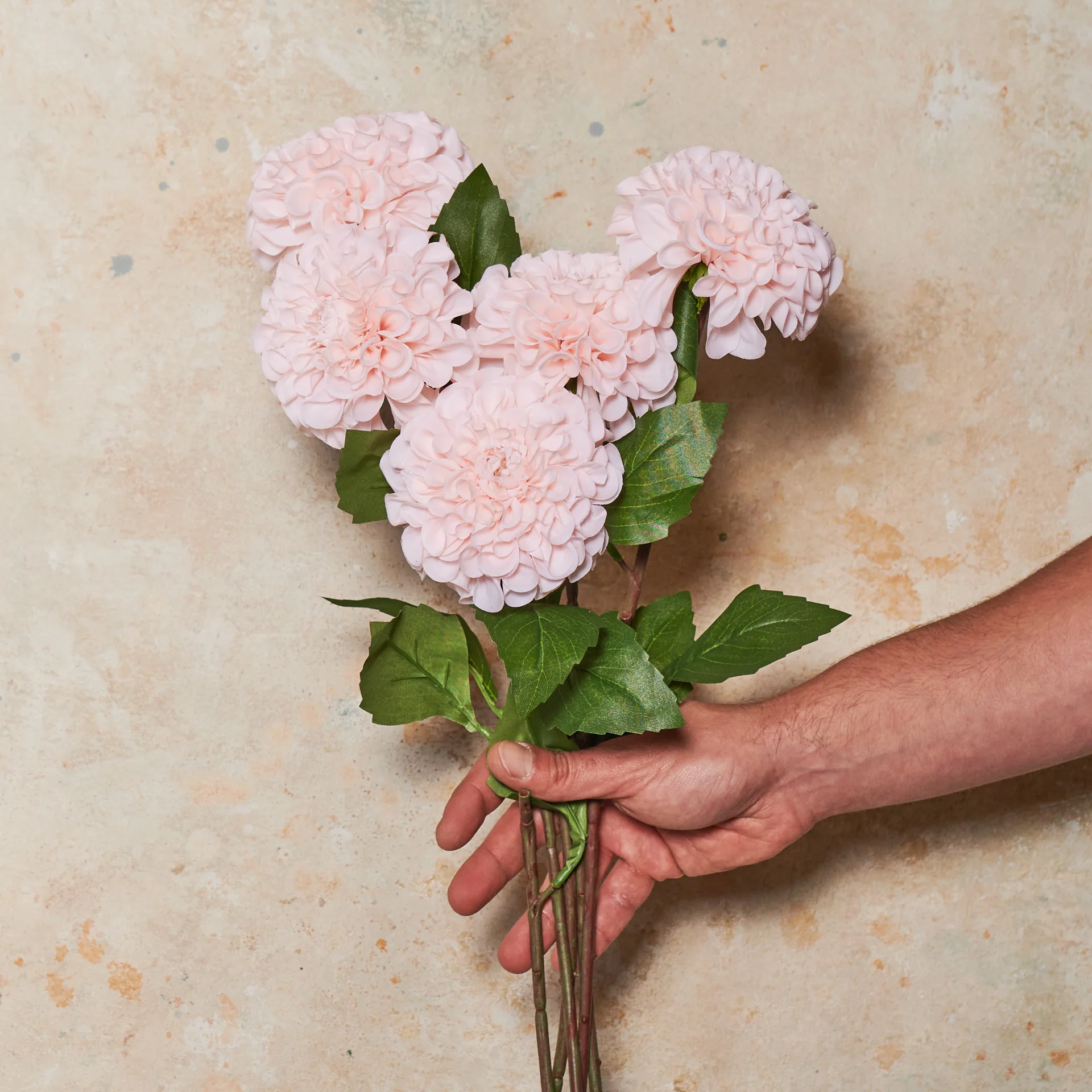 Pompon Dahlia Real Touch Flower Stem - Image 10