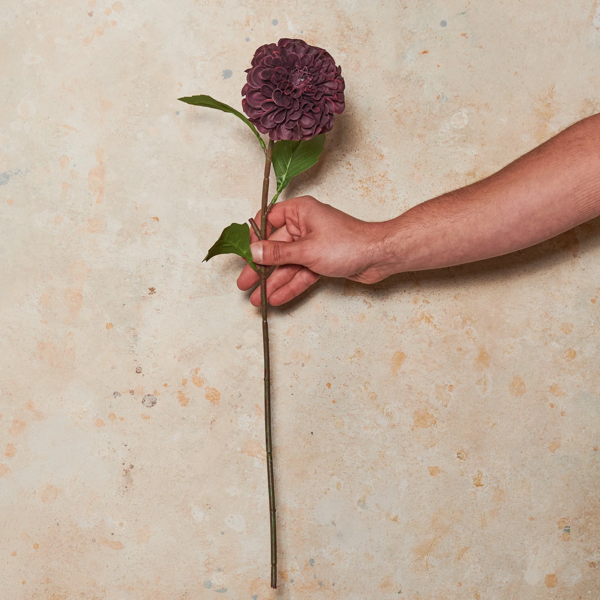 Pompon Dahlia Real Touch Flower Stem - Image 11