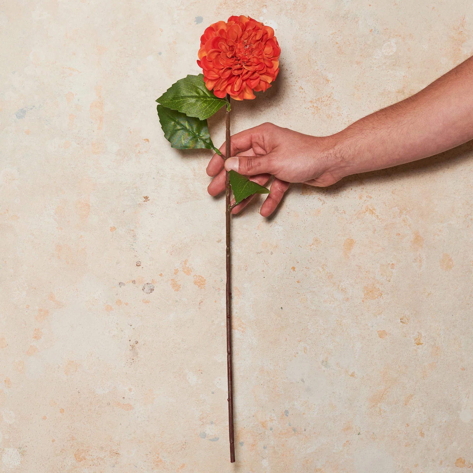 Pompon Dahlia Real Touch Flower Stem - Image 13