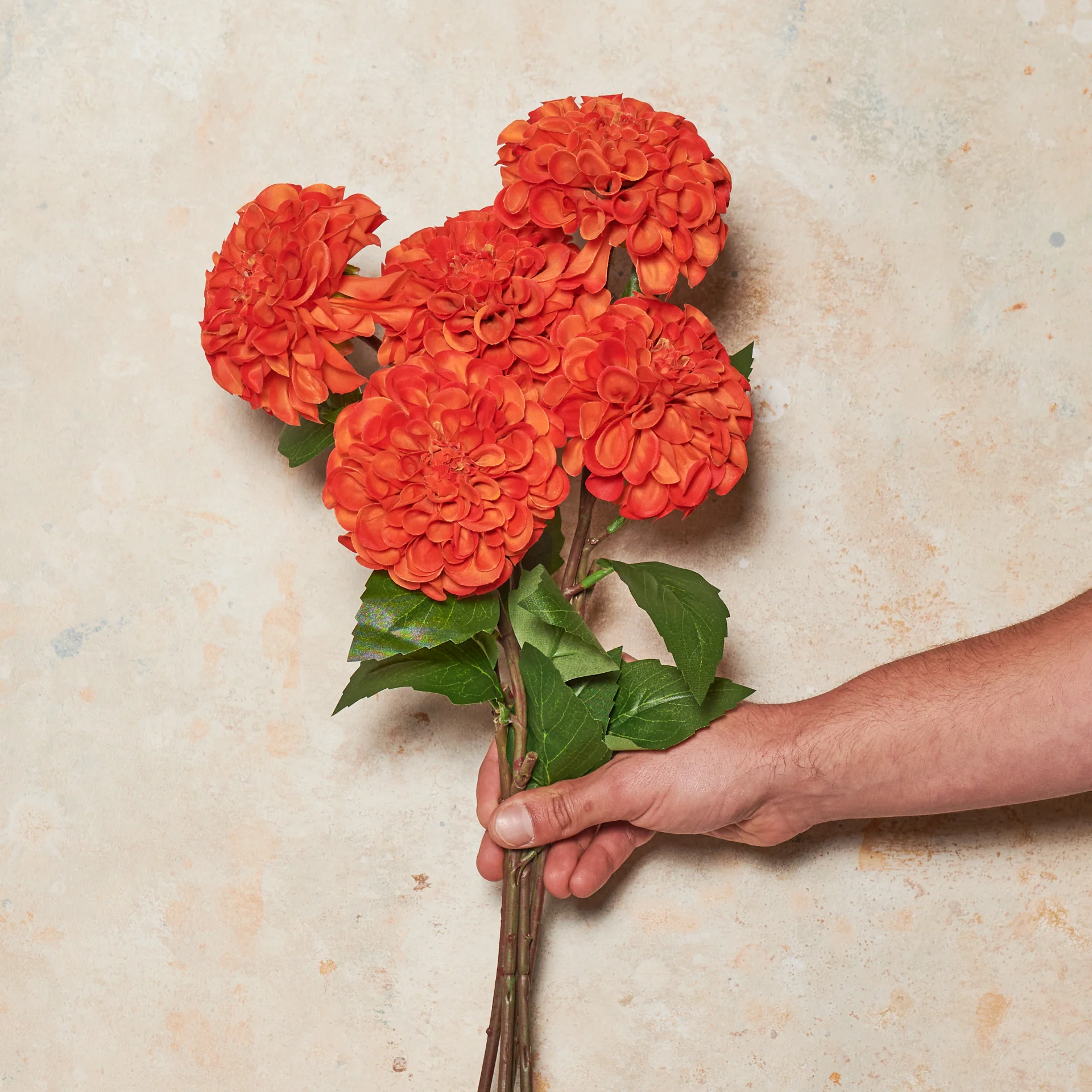 Pompon Dahlia Real Touch Flower Stem - Image 14