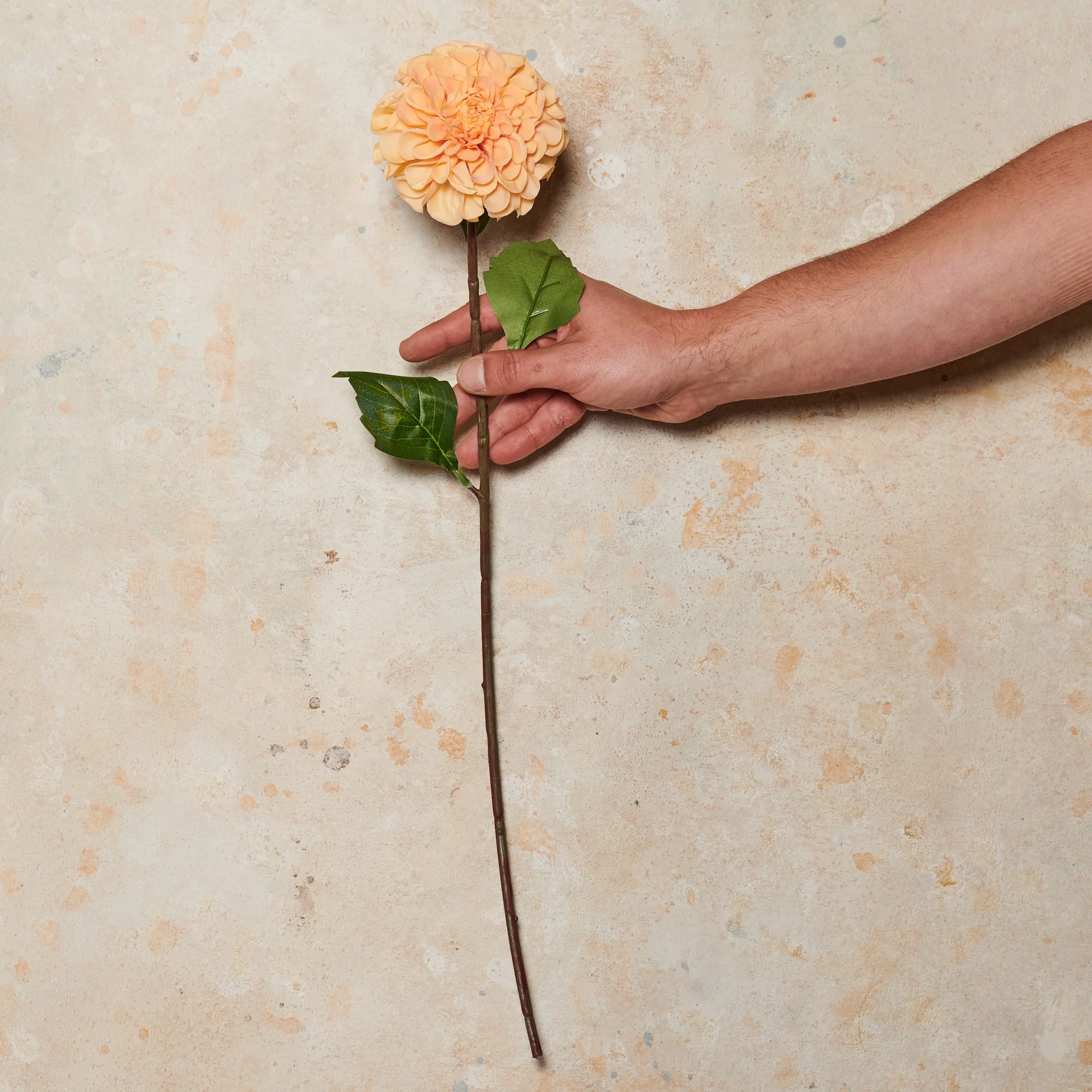 Pompon Dahlia Real Touch Flower Stem - Image 3