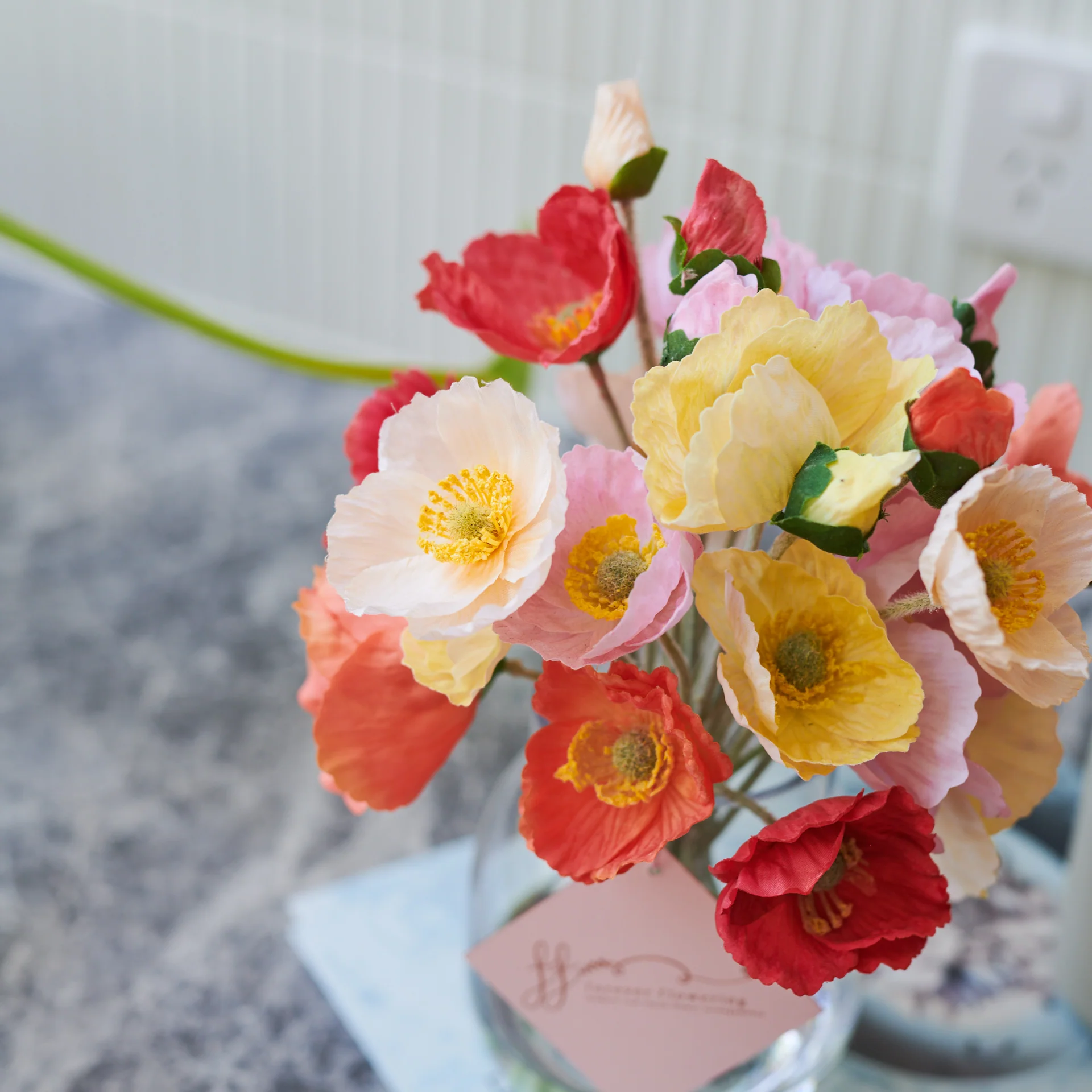 Poppy - Image 4